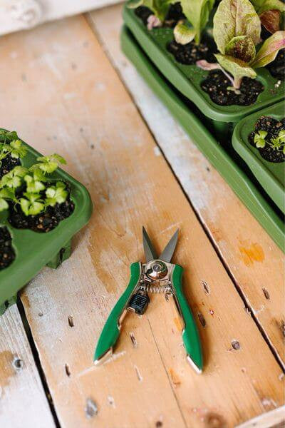 Garden Shears