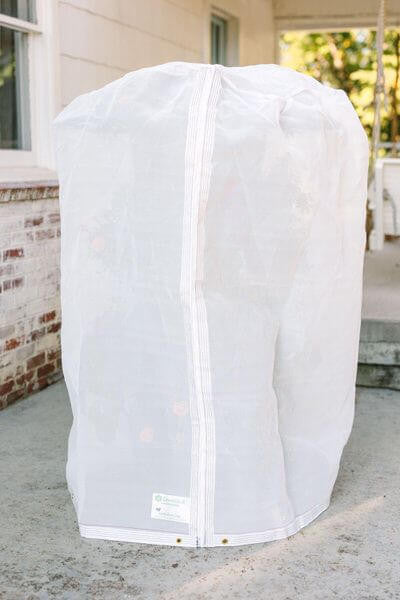 Insect Protection Cover