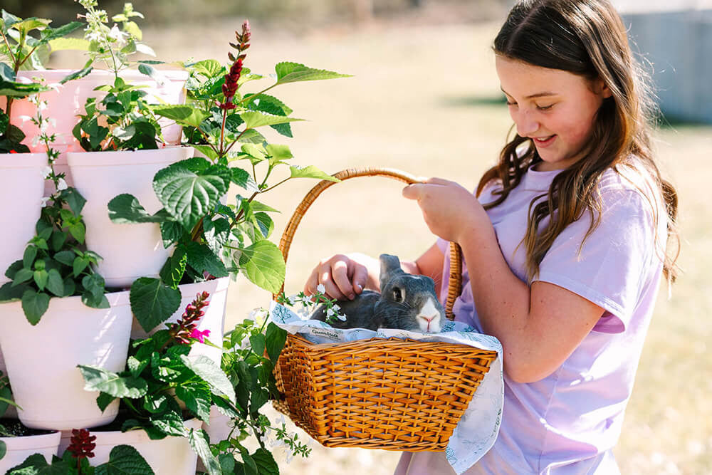 🐰 Shop the Easter Eggsclusive >