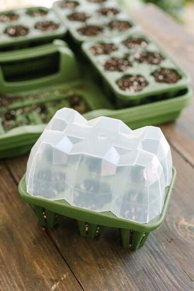GreenStalk Seed Starter Dome