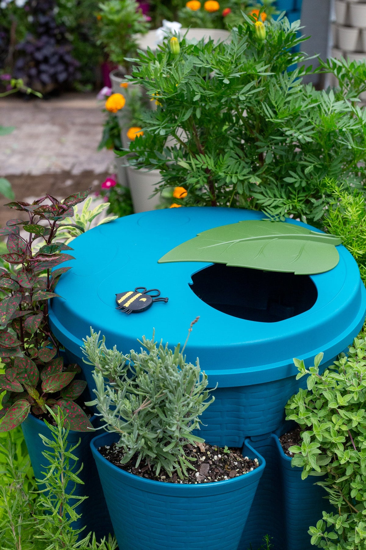 GreenStalk Garden Lid | Dragonfly 