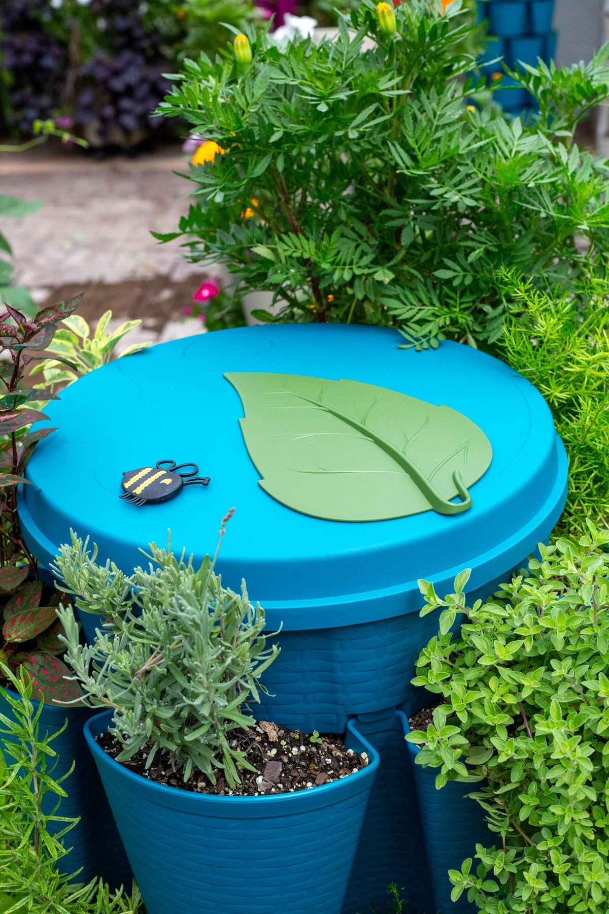 GreenStalk Garden Lid | Dragonfly 