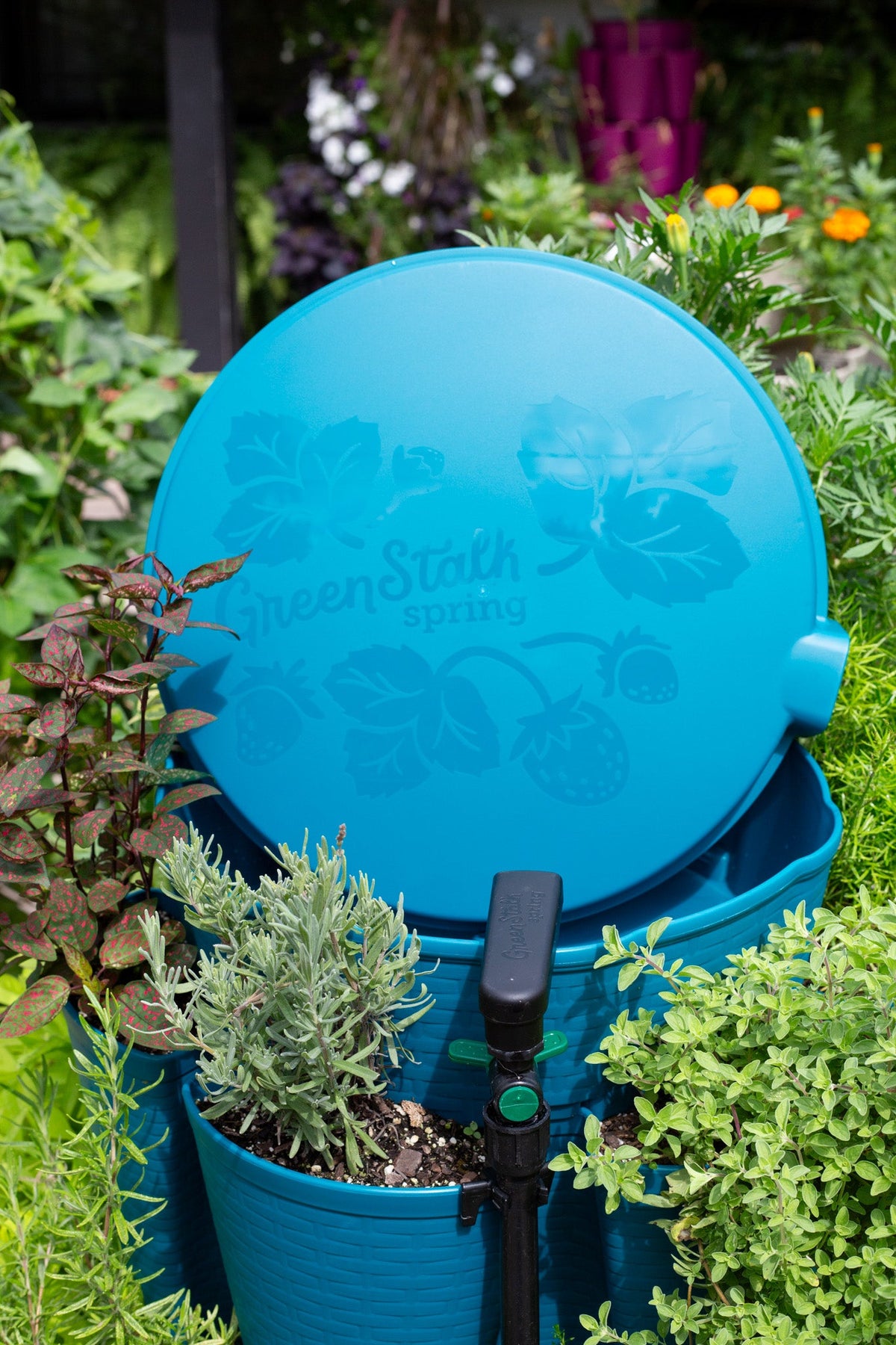 GreenStalk Spring - Watering System | Dragonfly 