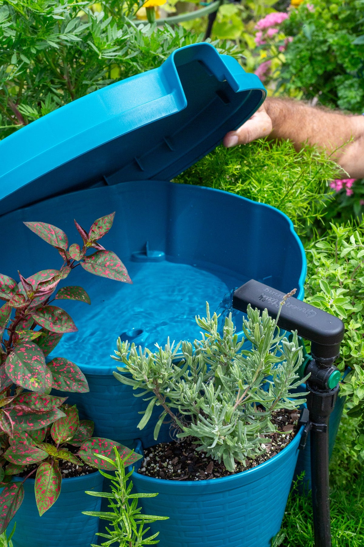 GreenStalk Spring - Watering System | Dragonfly 