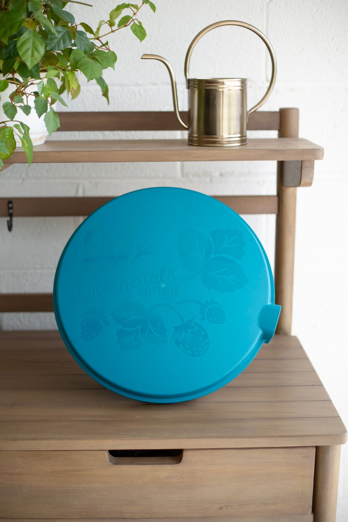 GreenStalk Spring Lid | Dragonfly 