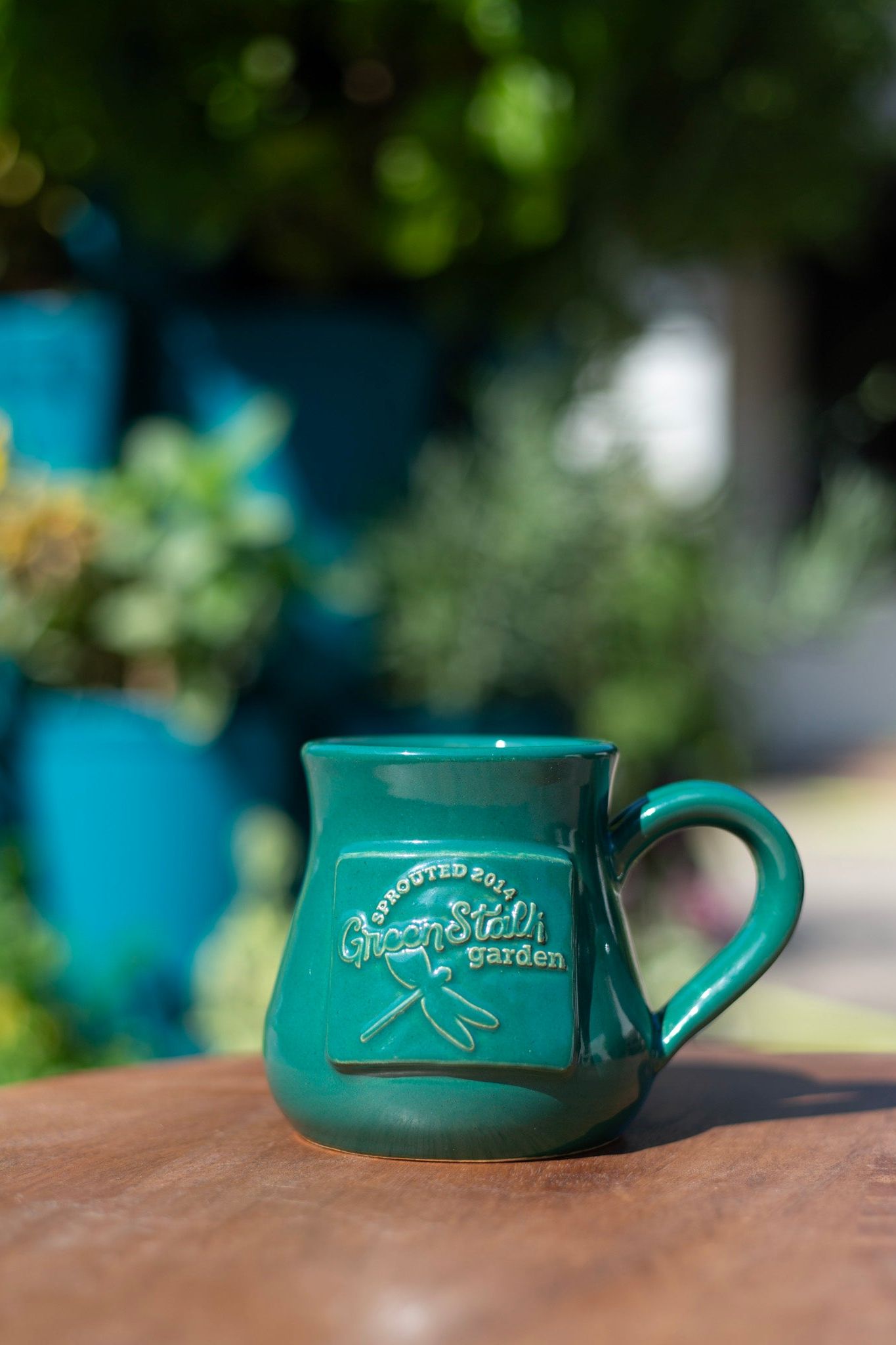 Dragonfly Mug 