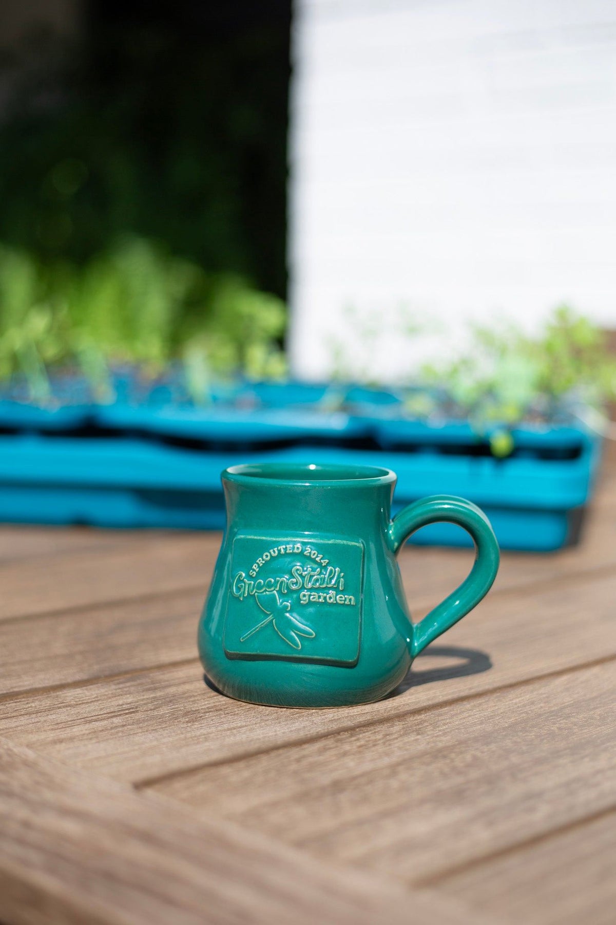 Dragonfly Mug 
