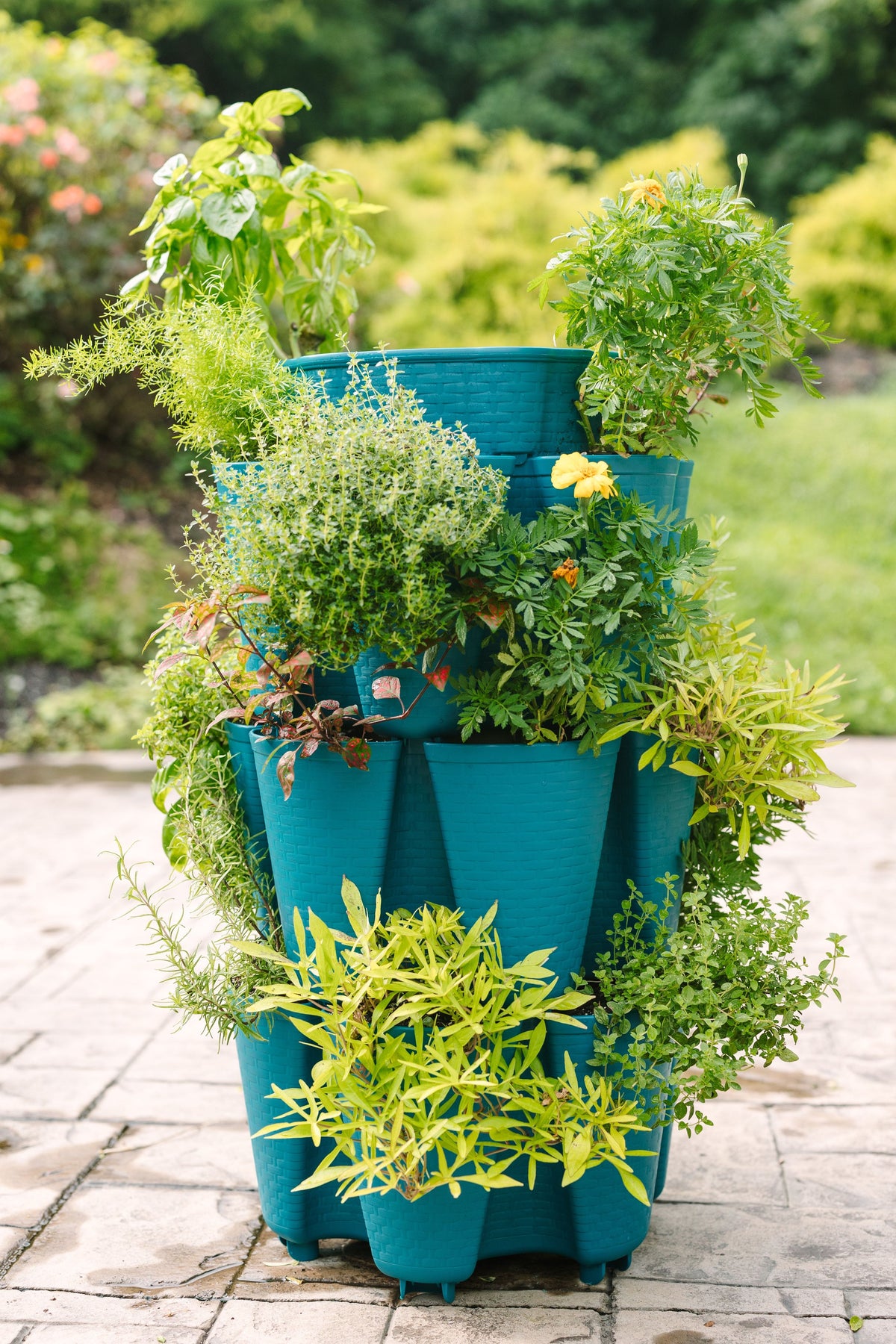 3 Tier GreenStalk Original Vertical Planter | Dragonfly (Basket Weave Texture) 