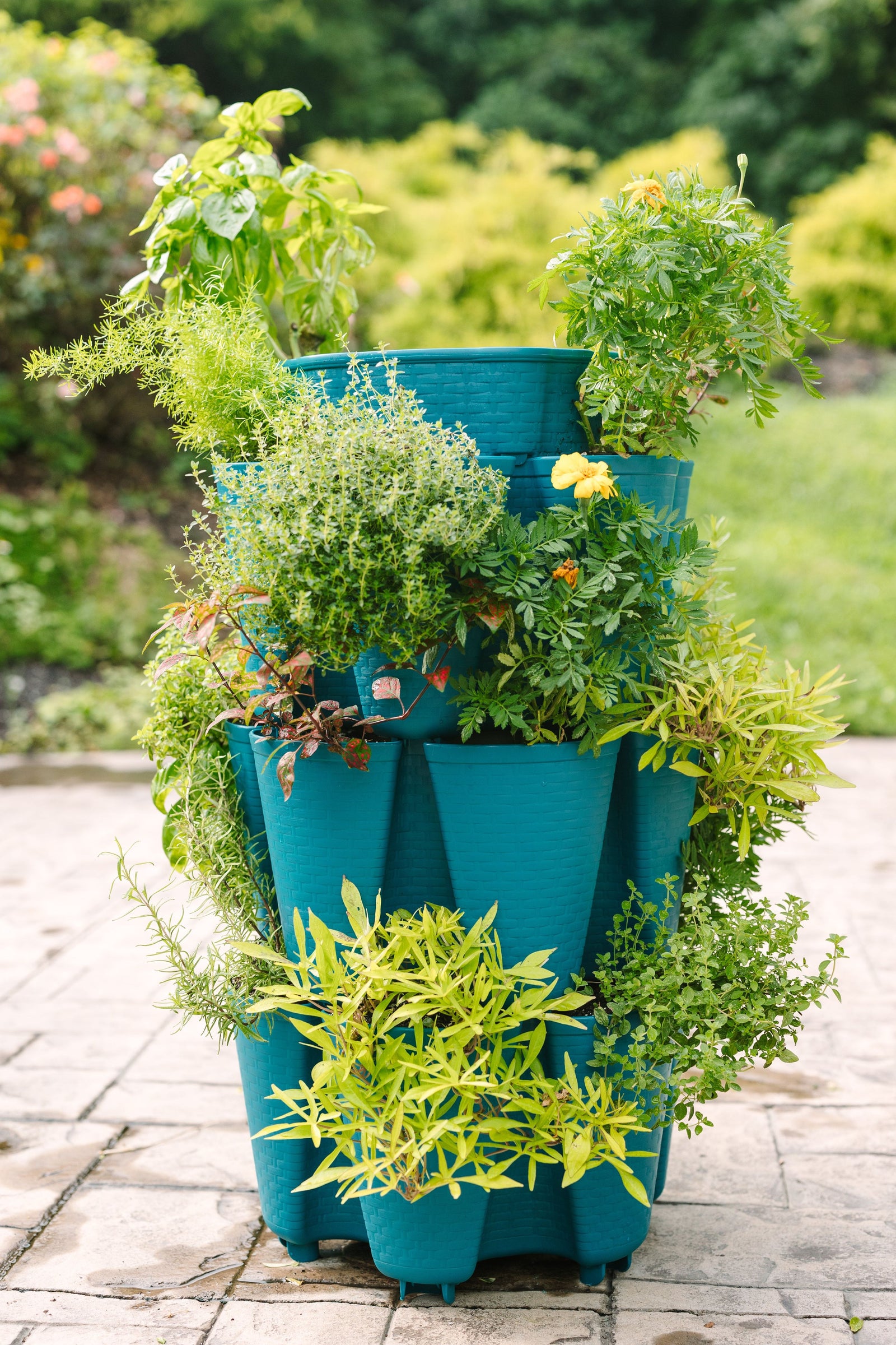 3 Tier GreenStalk Original Vertical Planter | Dragonfly (Basket Weave Texture) 