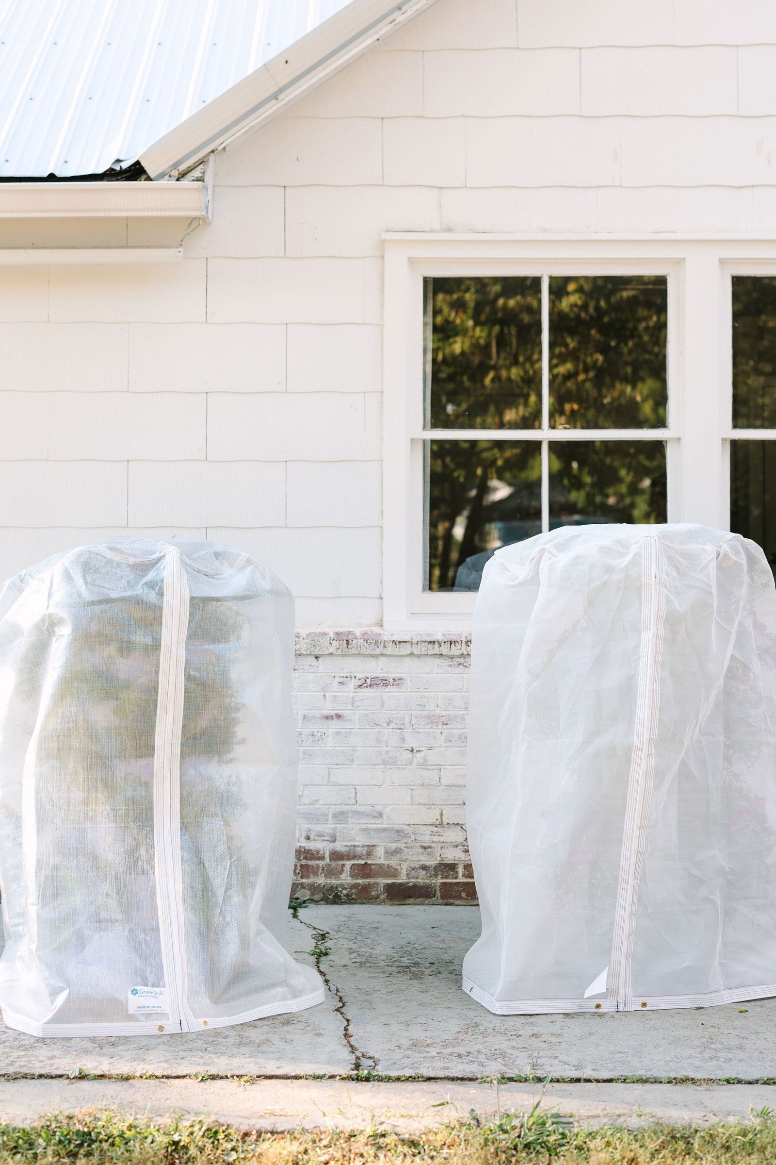 Insect + Frost Protection Cover 