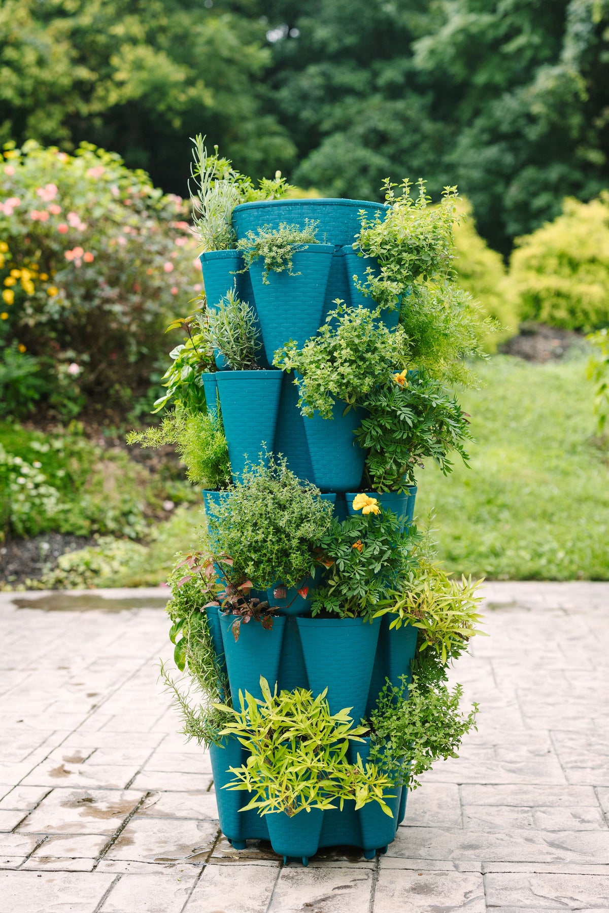 5 Tier GreenStalk Original Vertical Planter | Dragonfly (Basket Weave Texture) 