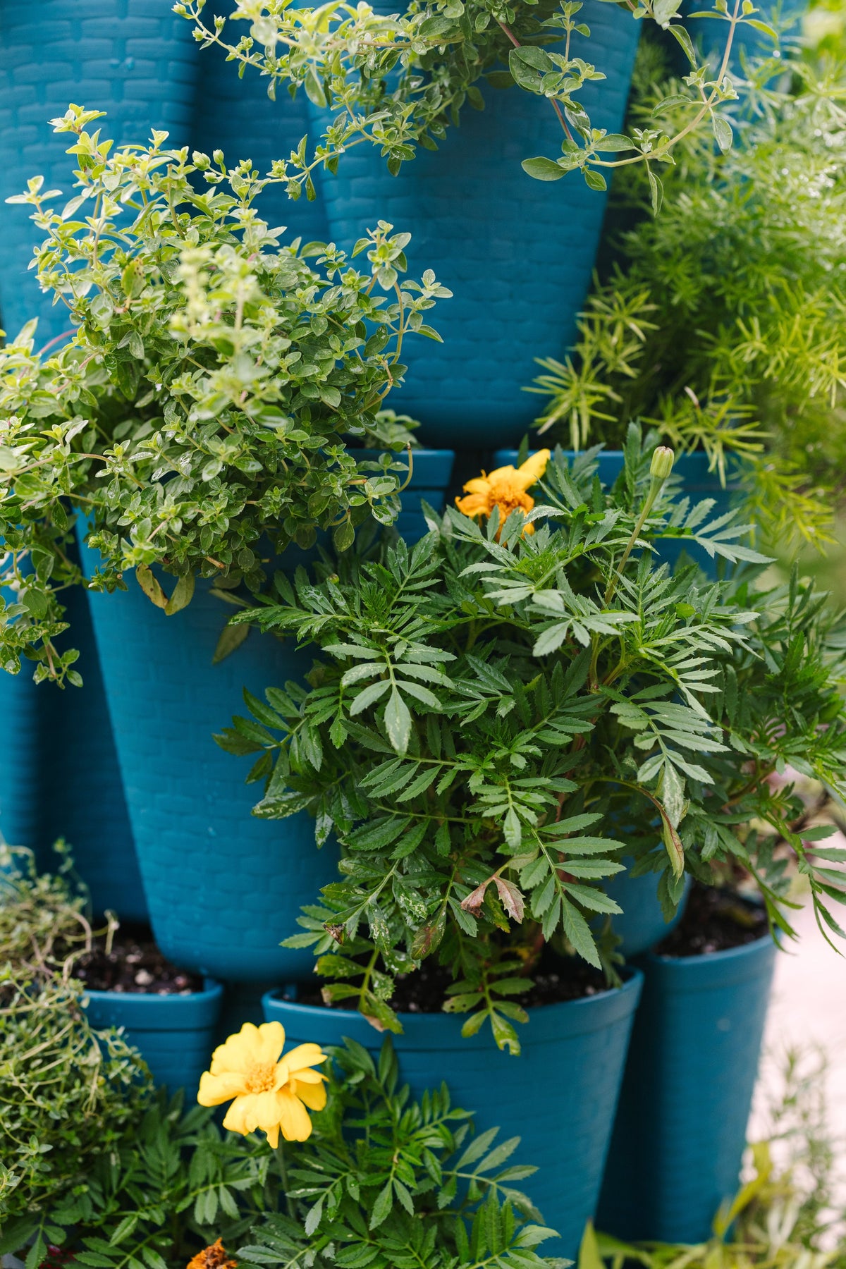 5 Tier GreenStalk Original Vertical Planter | Dragonfly (Basket Weave Texture) 