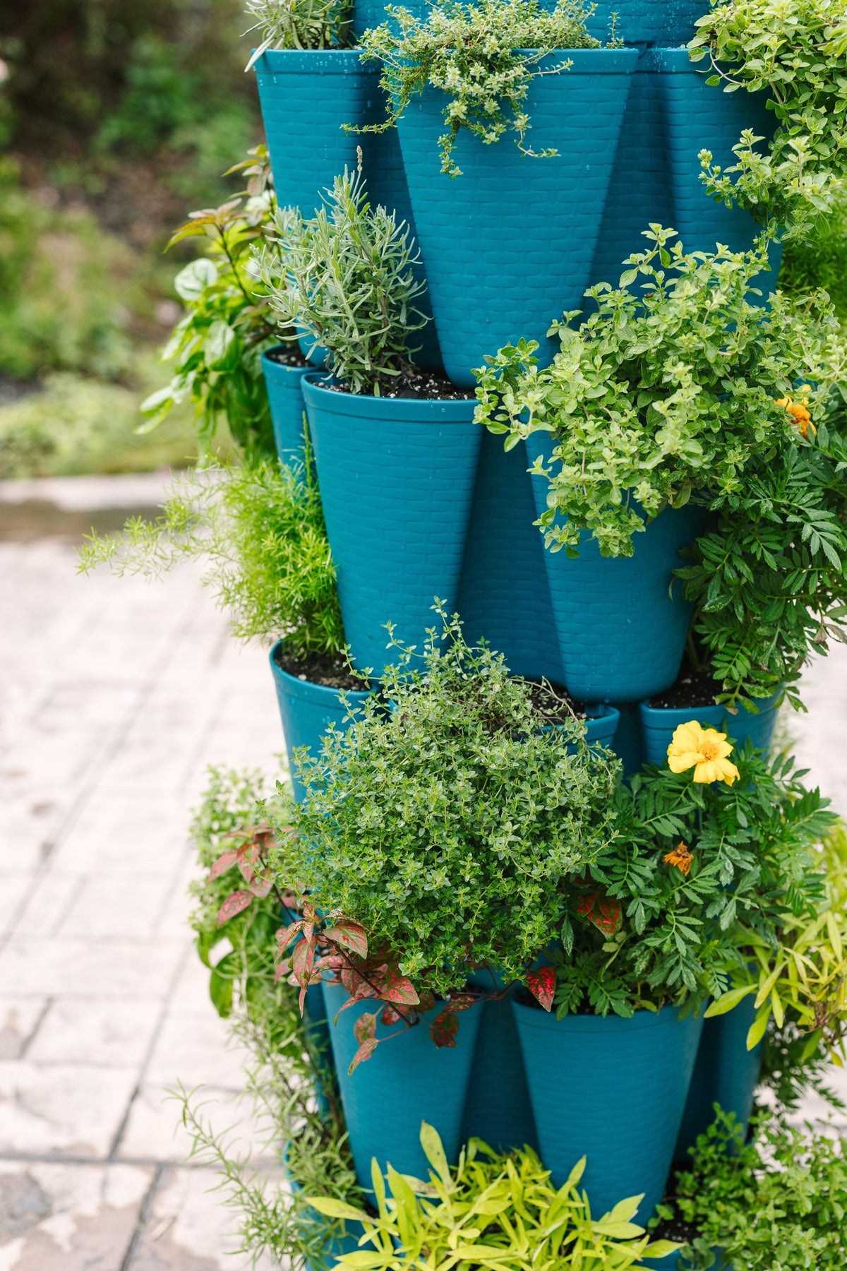 5 Tier GreenStalk Original Vertical Planter | Dragonfly (Basket Weave Texture) 