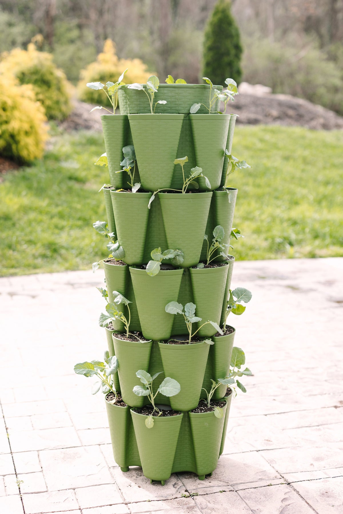 5 Tier GreenStalk Original Vertical Planter | Evergreen (Basket Weave Texture) 