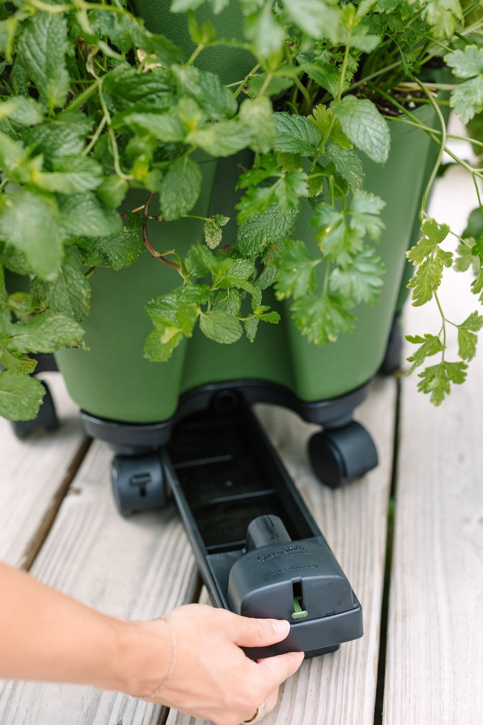 GreenStalk Mover Drip Tray 