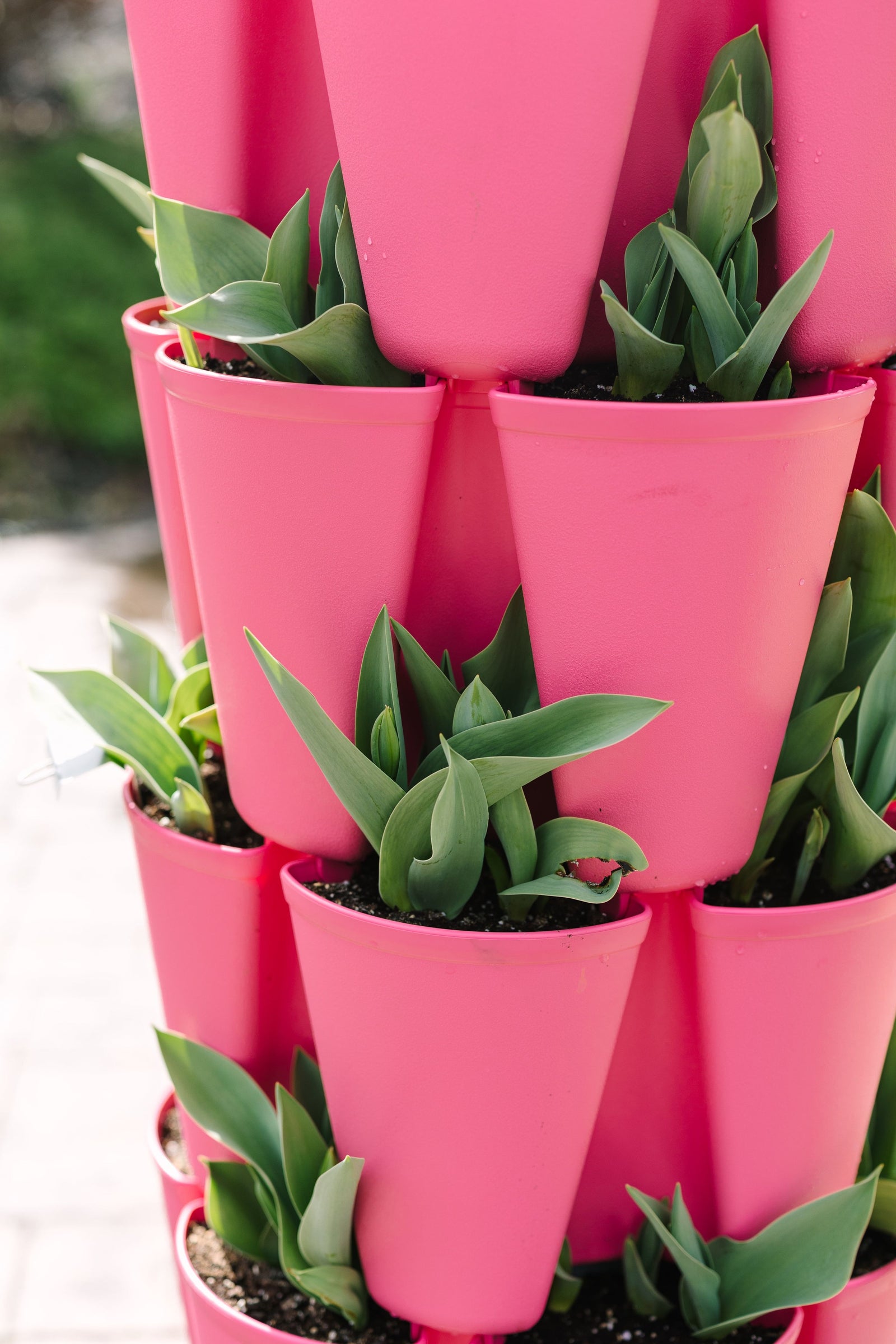 5 Tier GreenStalk Original Vertical Planter | Strawberry Pink (Basic Texture) 