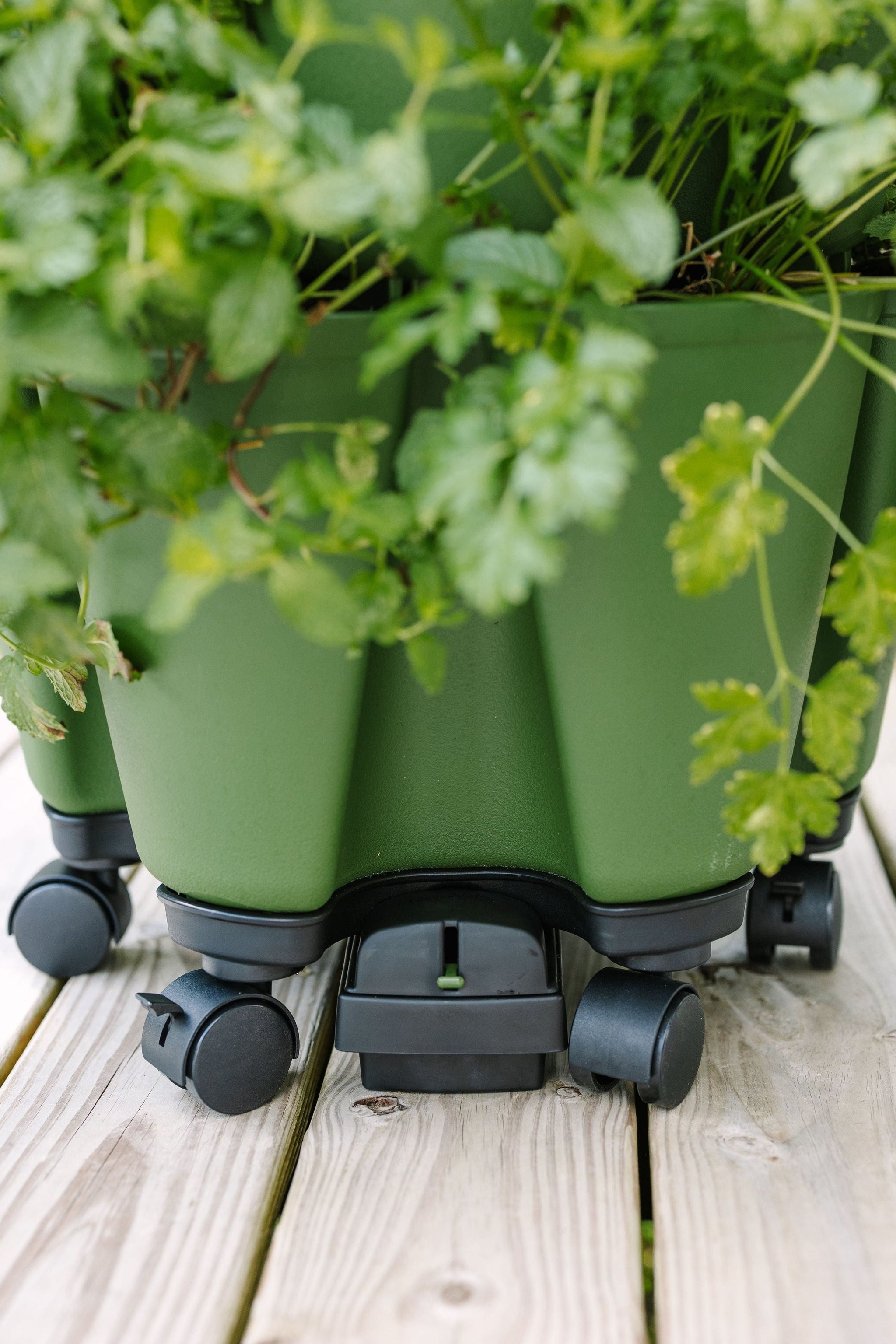 drip trays for indoor plants GreenStalk Mover Drip Tray