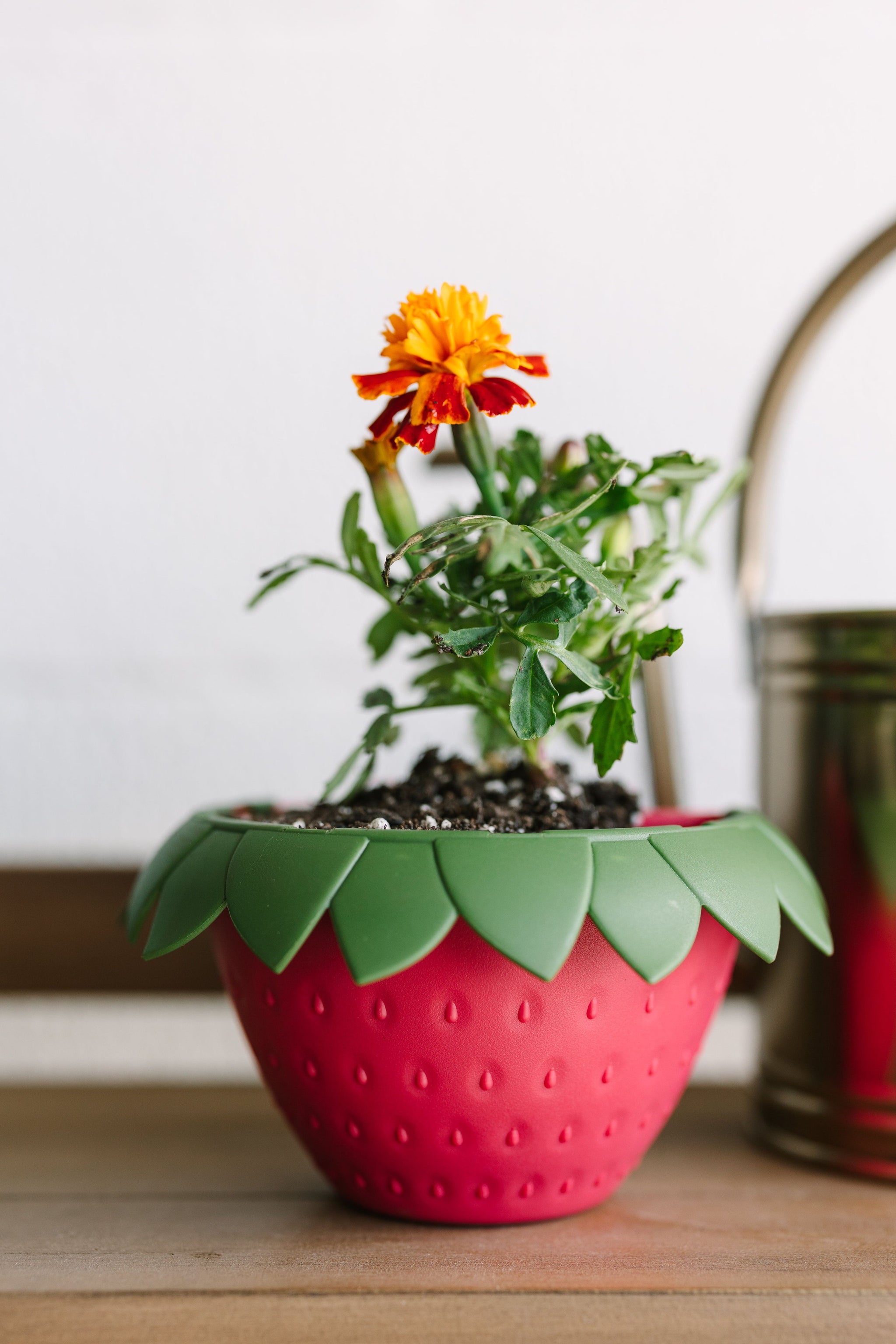 strawberry succulent pot GreenStalk Berry Cup - Set of 6