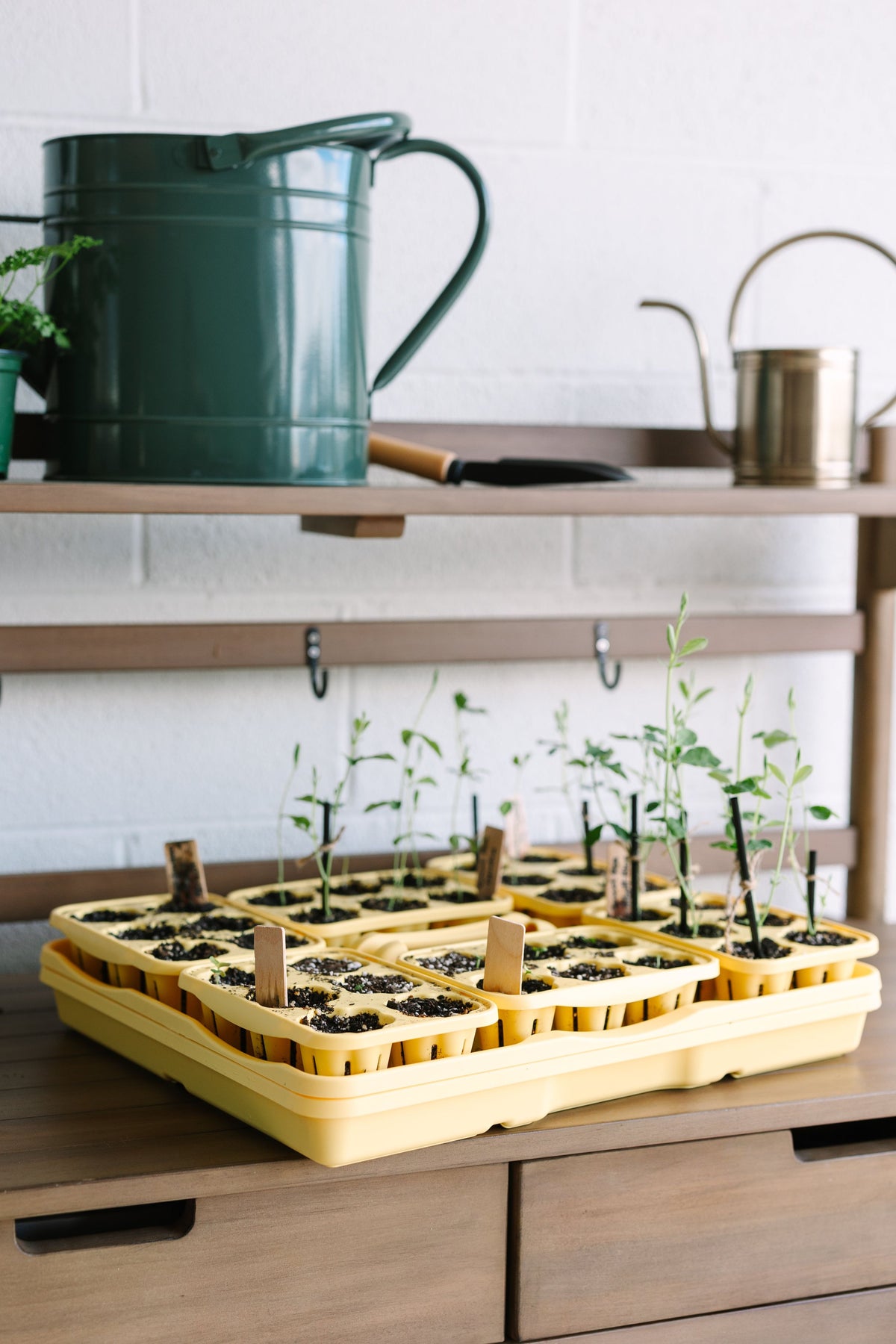 GreenStalk Seed Starter Kit with Domes | Lemon 