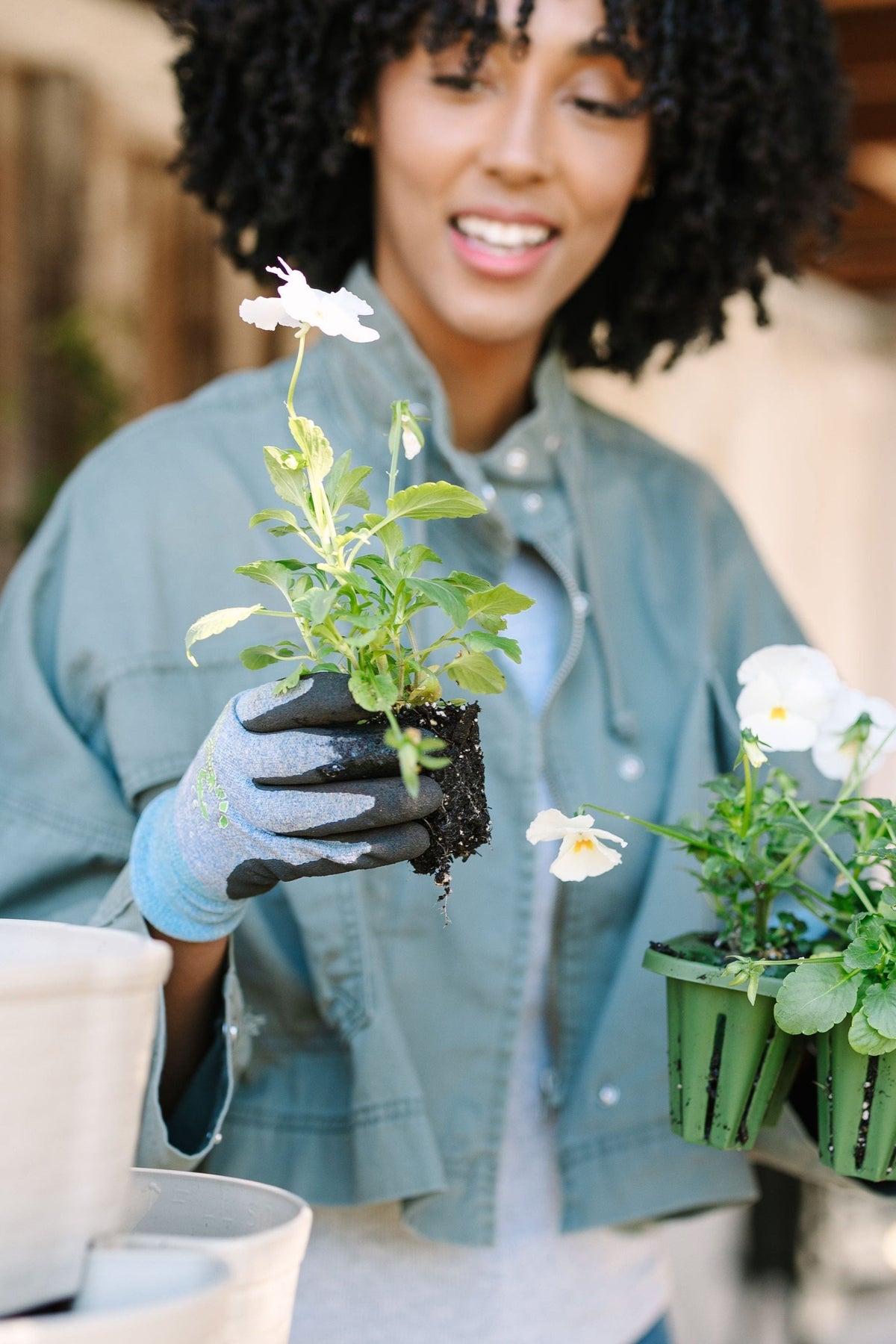 GreenStalk Seed Starter Kit with Domes | Evergreen 