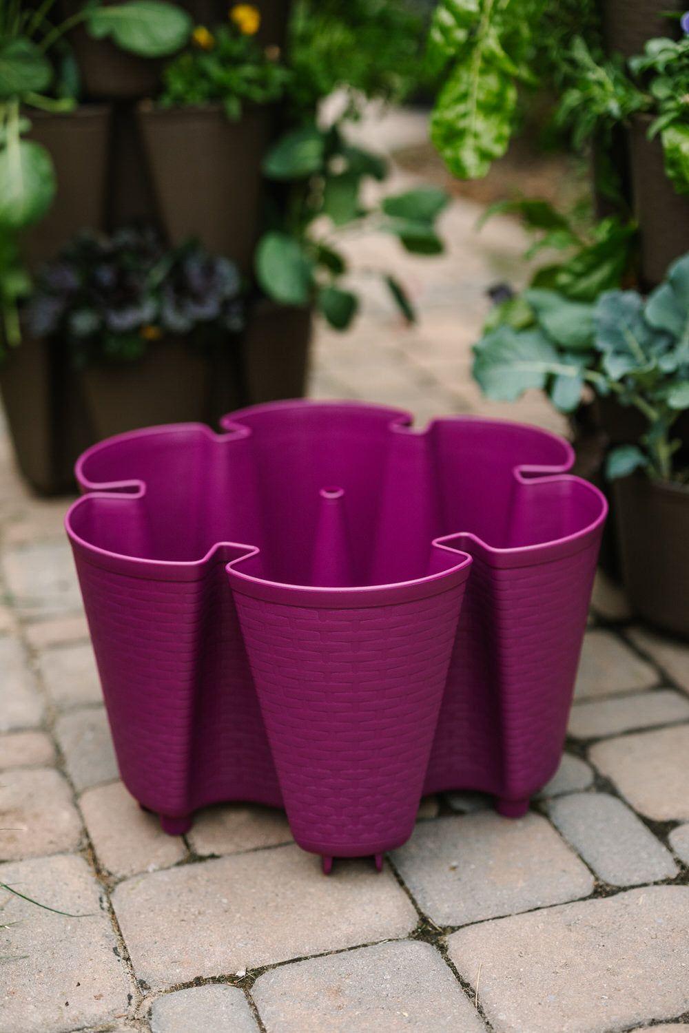 Individual Original Planter | Razzleberry (Basket Weave Texture) 