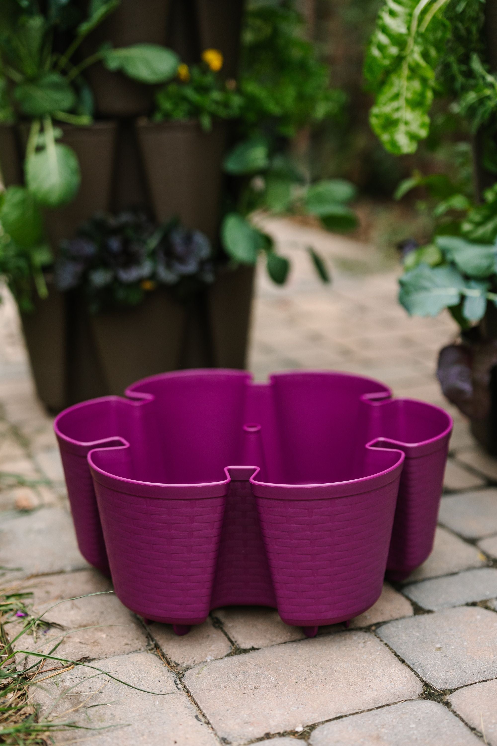 Individual Leaf Planter | Razzleberry (Basket Weave Texture) 