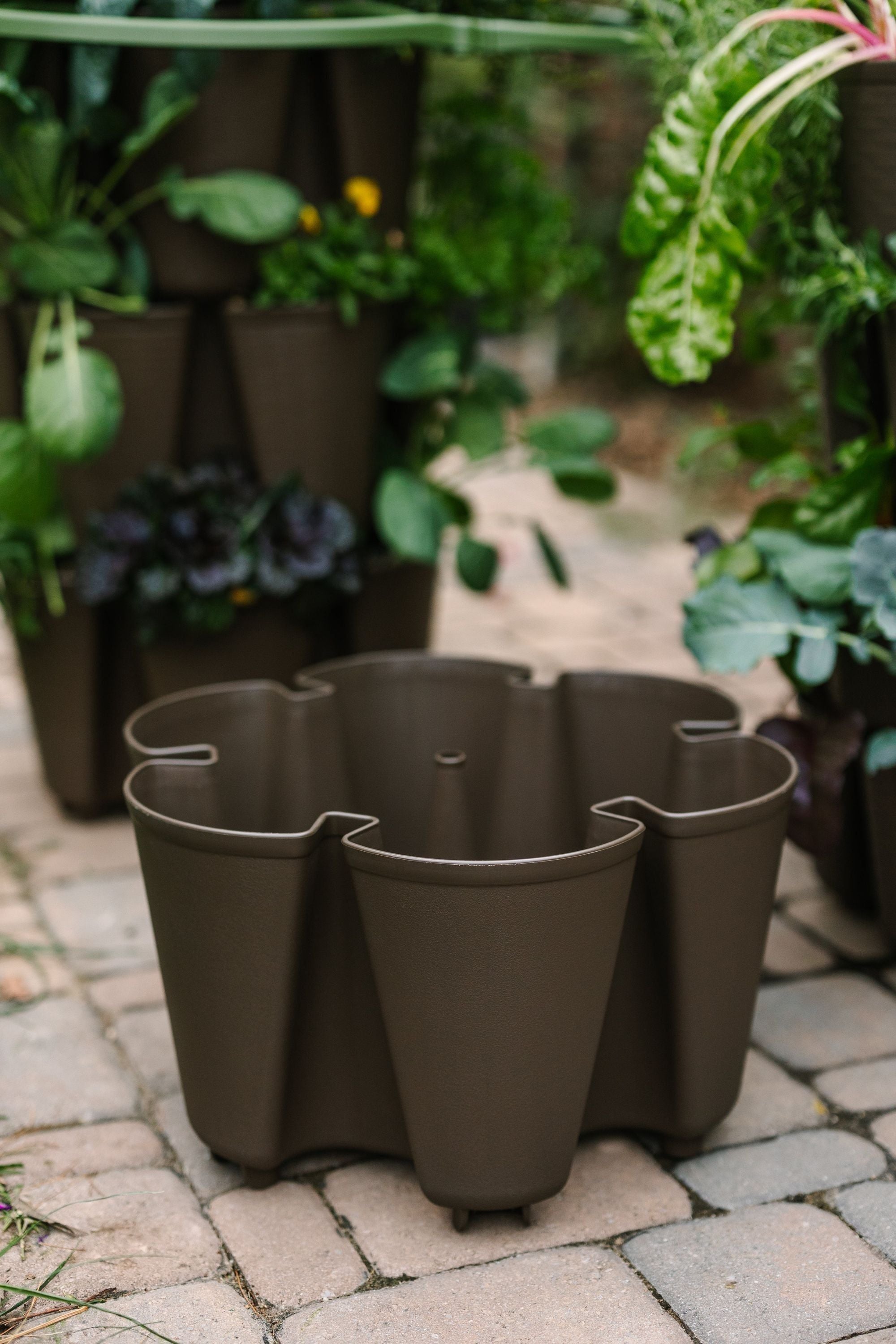 Individual Original Planter | Chocolate Brown (Basic Texture) 