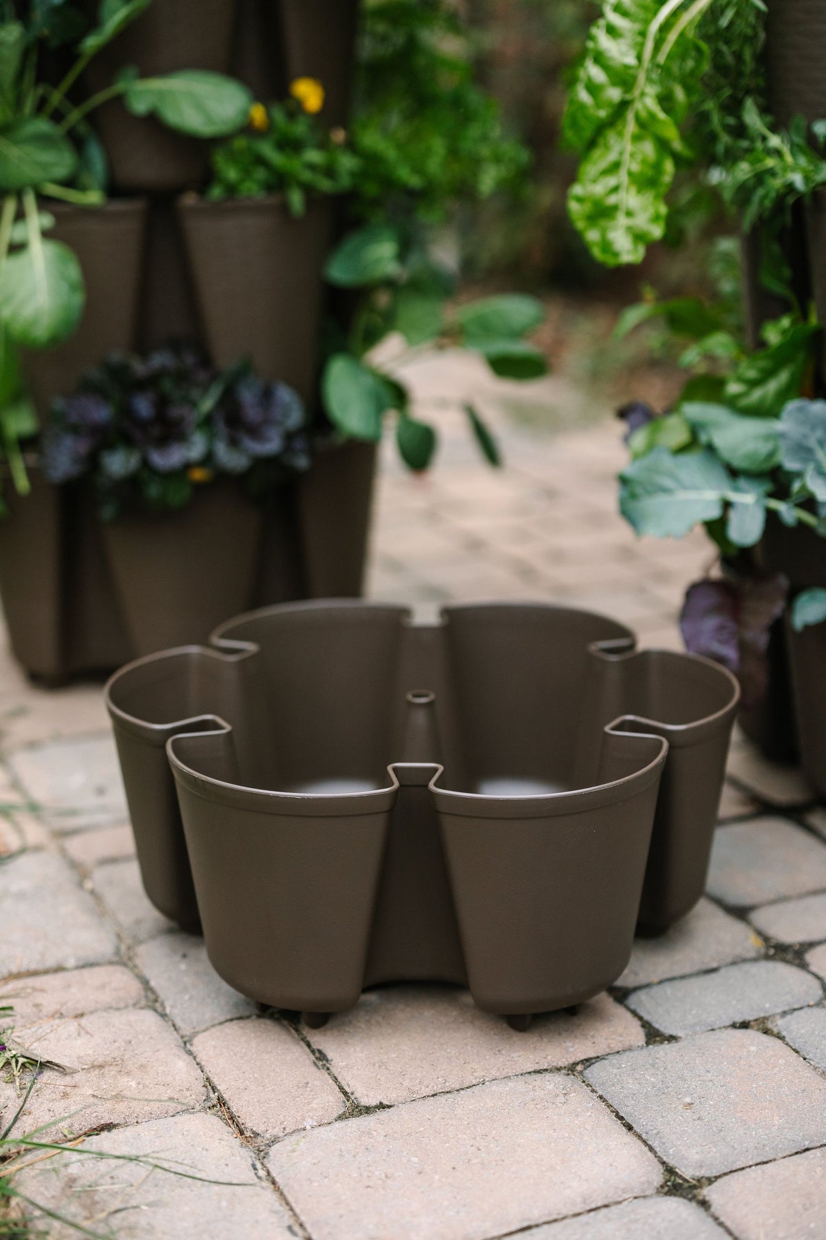 Individual Leaf Planter | Chocolate Brown (Basic Texture) 