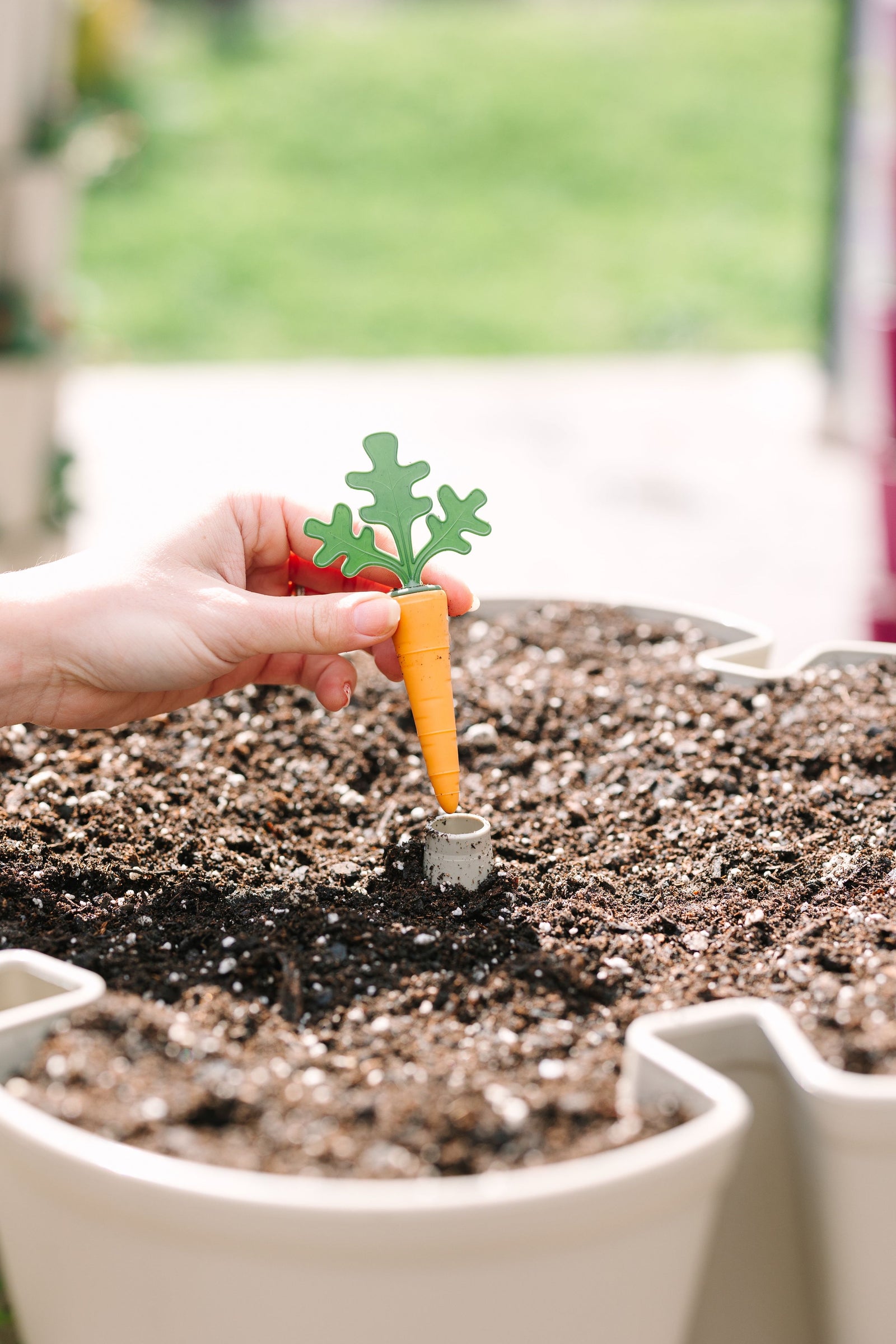 GreenStalk Carrot Cap - Set of 4 