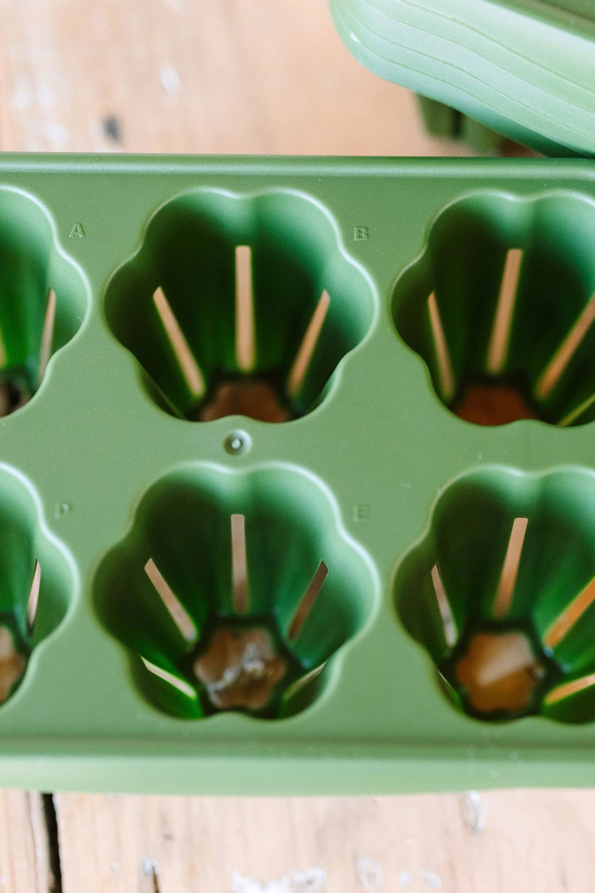 GreenStalk Seed Starter Kit with Domes | Evergreen 