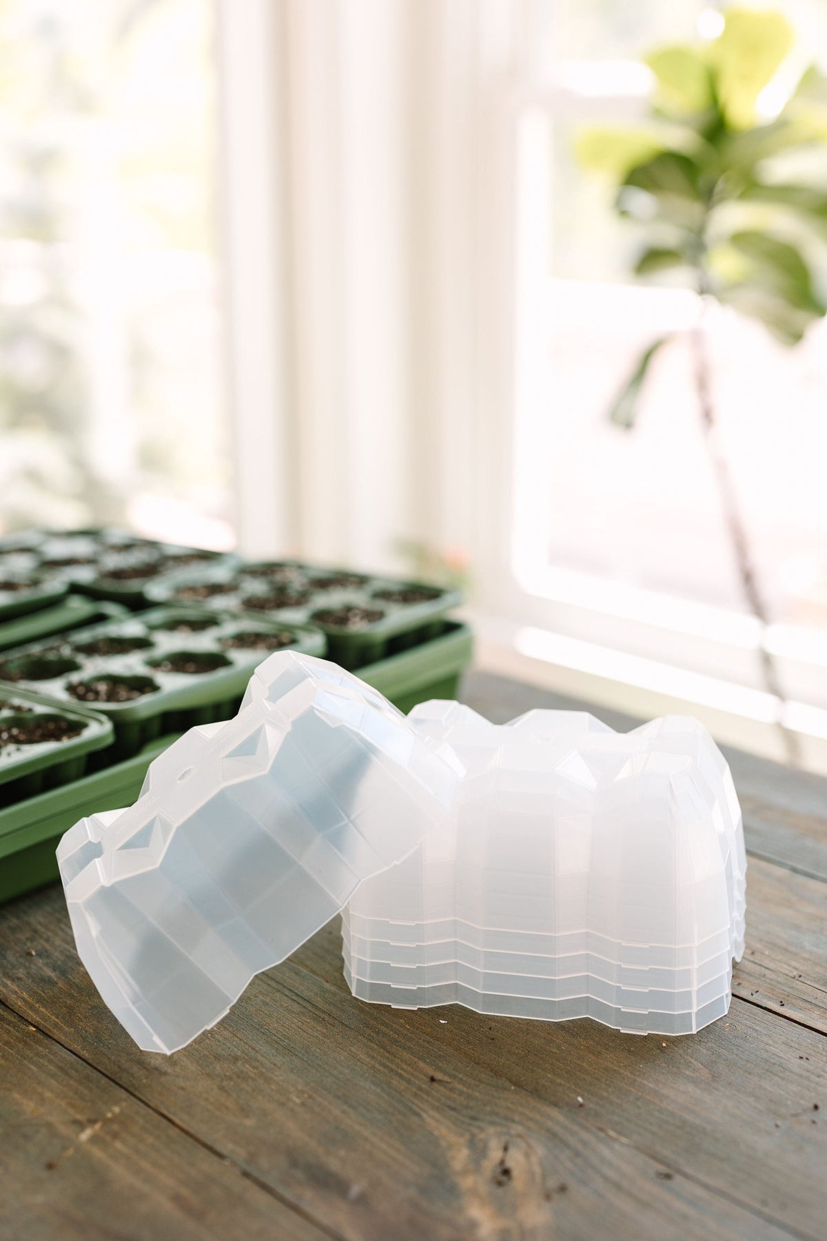 plastic plant starter trays GreenStalk Seed Starter Kit with Domes | Evergreen