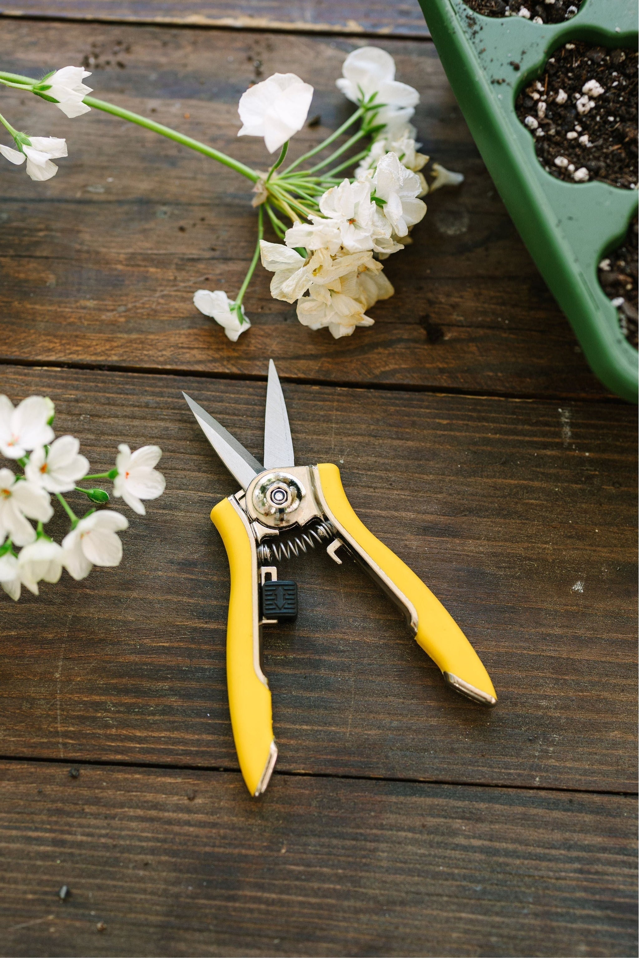 garden scissor Garden Shear