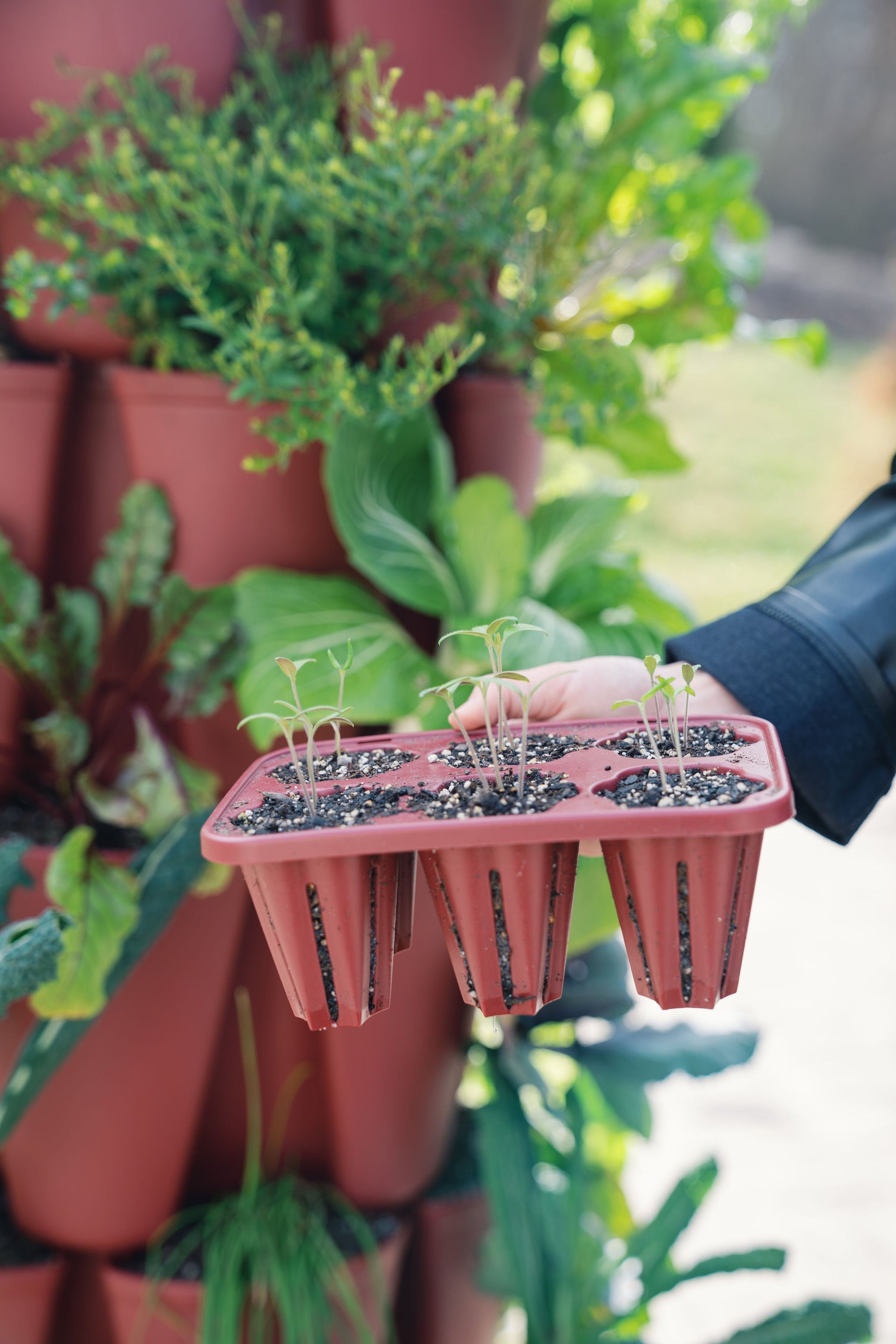the rusted garden seed shop GreenStalk Seed Starter Kit with Domes | Rusted Garden Red