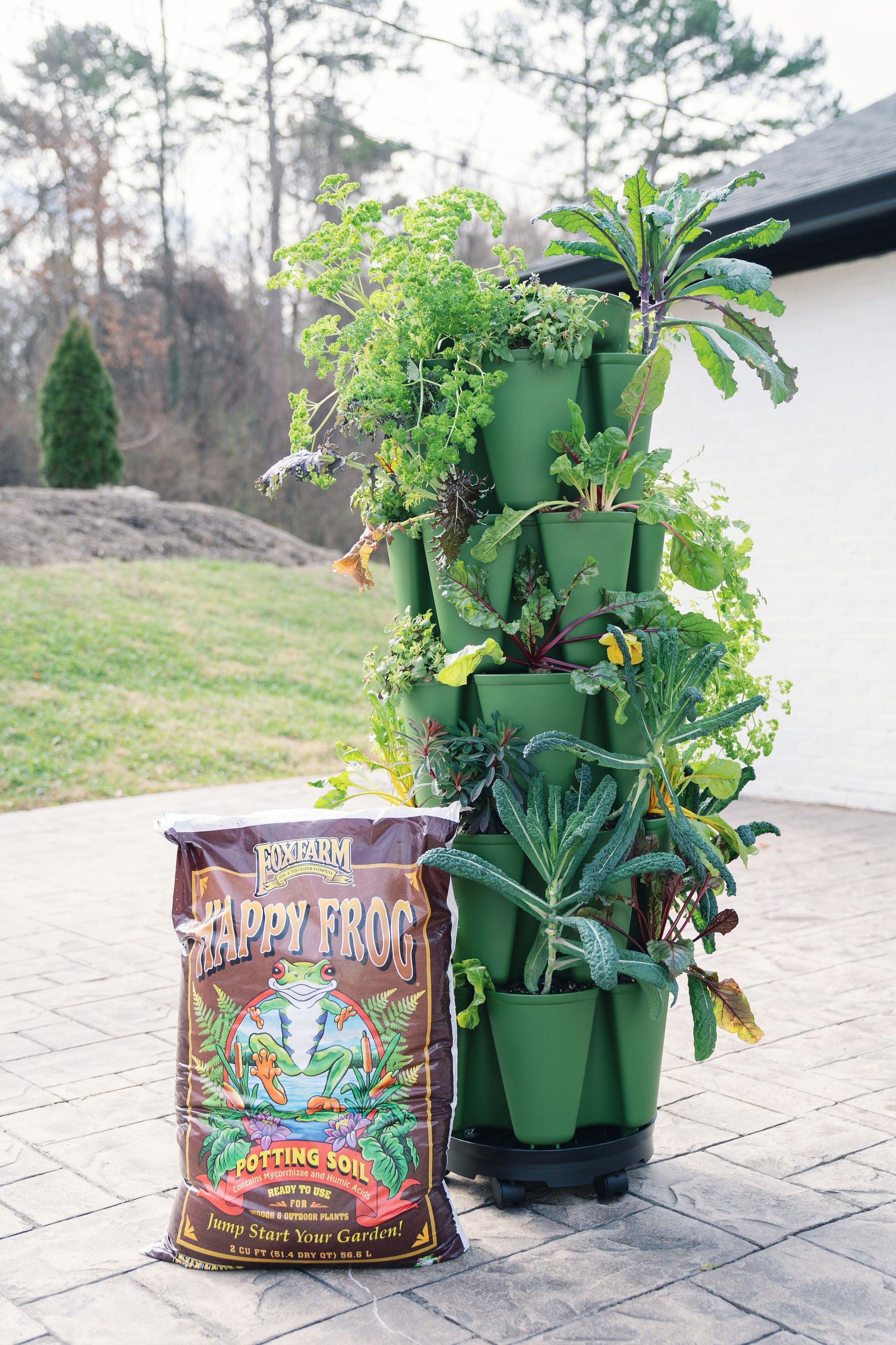 green plant pots outdoor Community Garden Bundle