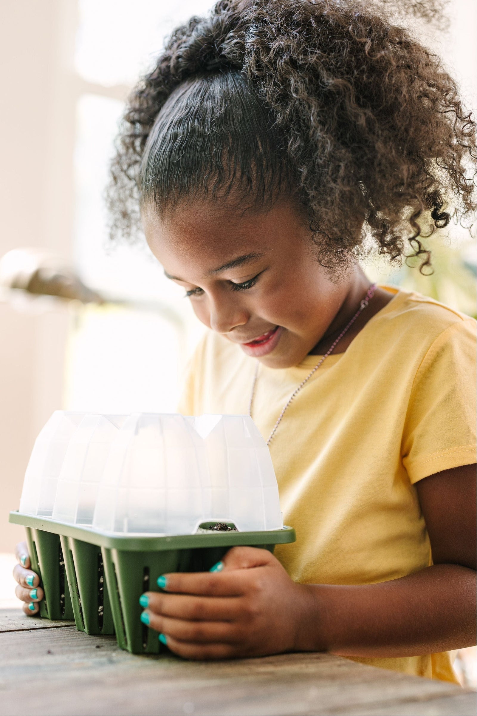 Seed Starter Dome - Set of 6 