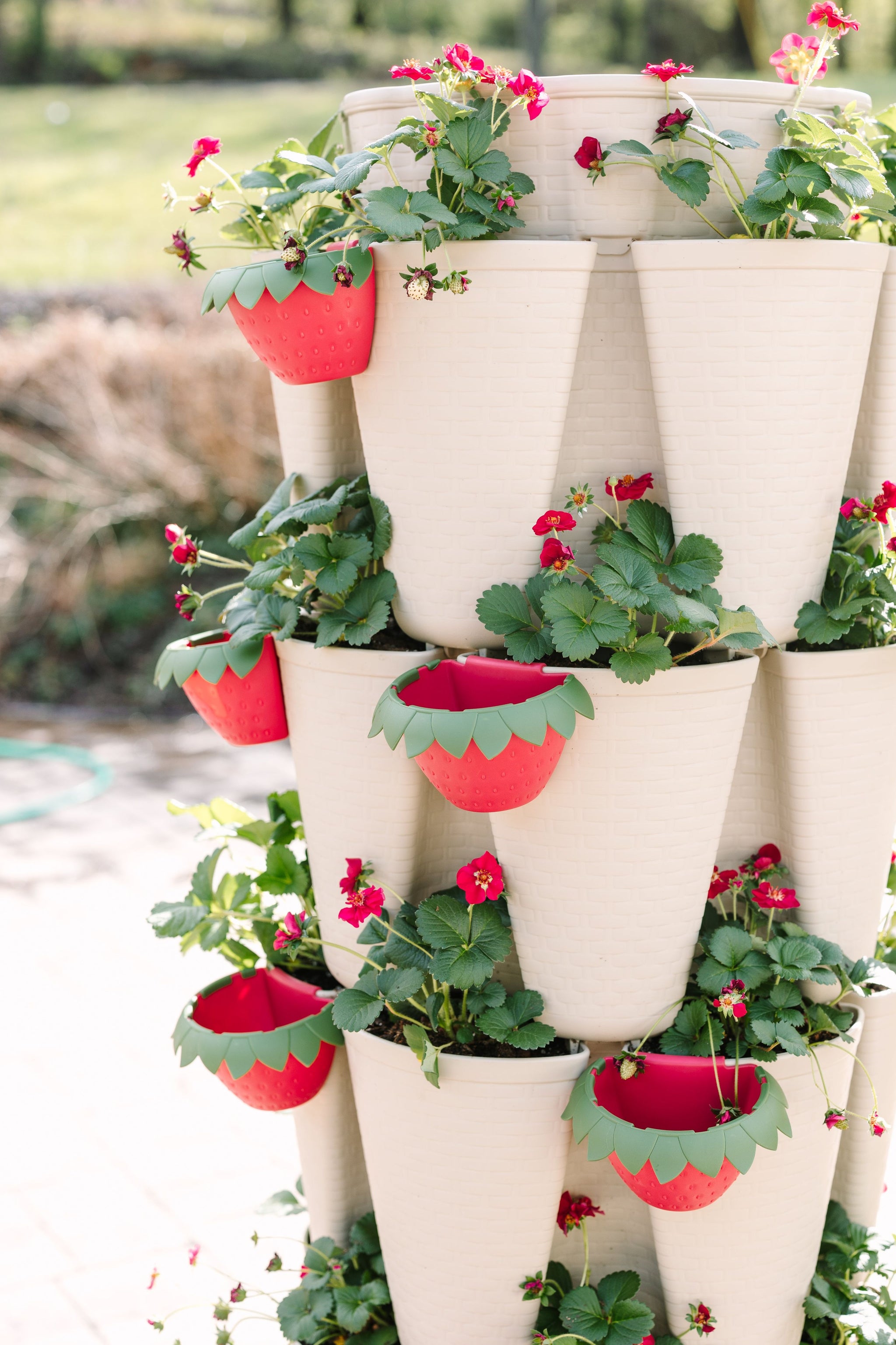 stack plant pots GreenStalk Berry Cup - Set of 6