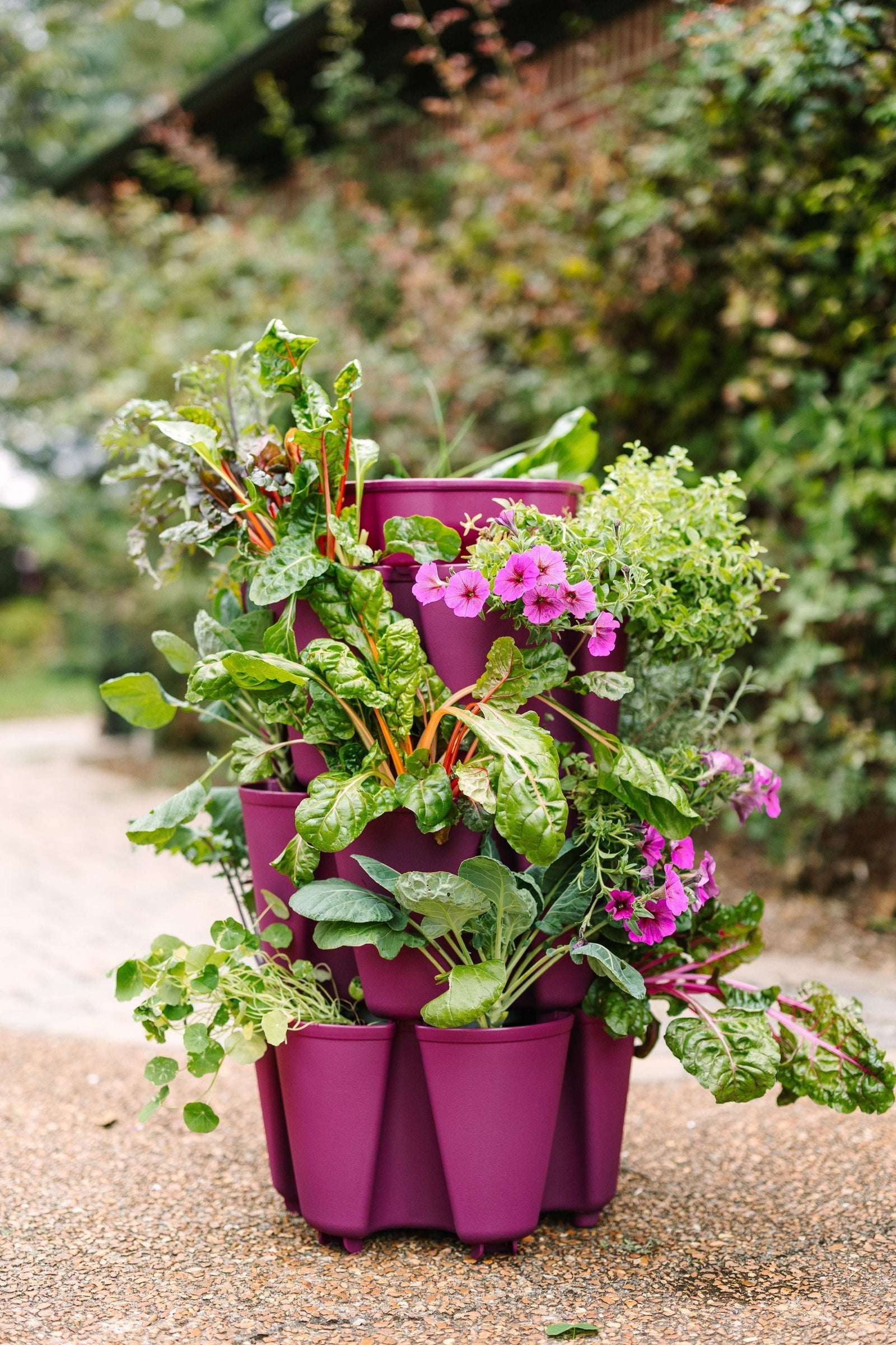 3 Tier GreenStalk Original Vertical Planter | Razzleberry (Basic Texture) 