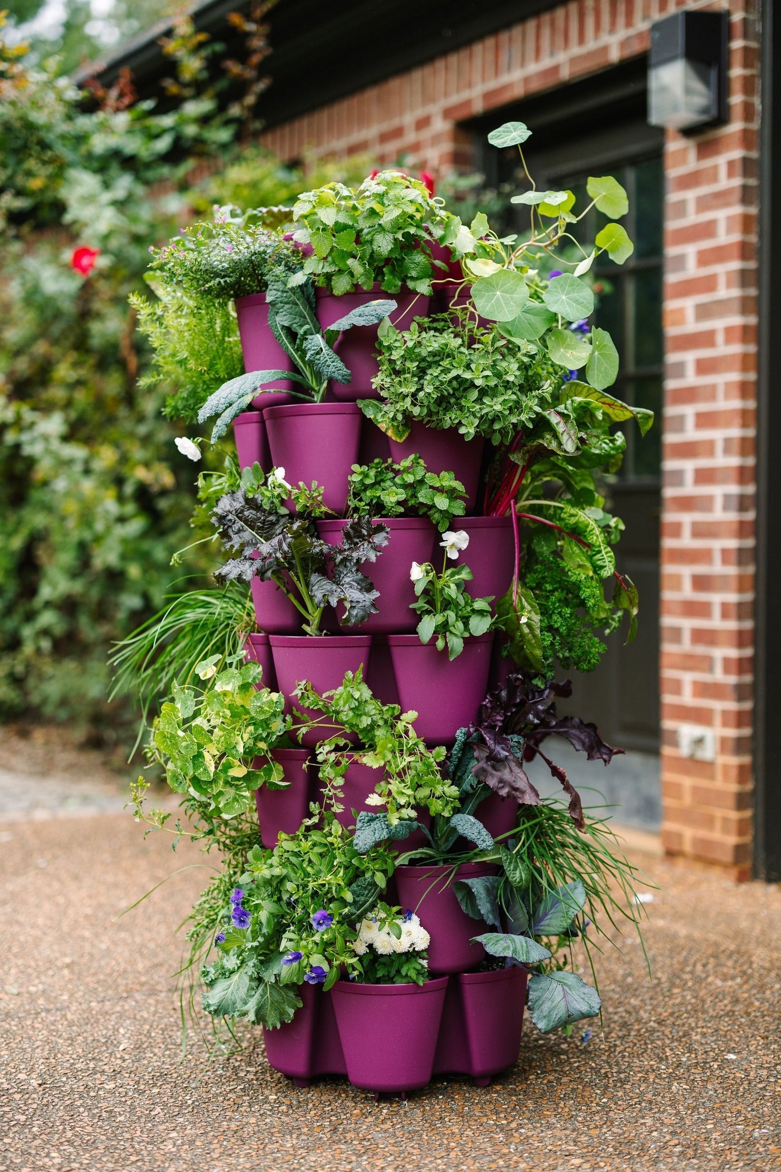 7 Tier GreenStalk Leaf Vertical Planter | Razzleberry (Basic Texture) 