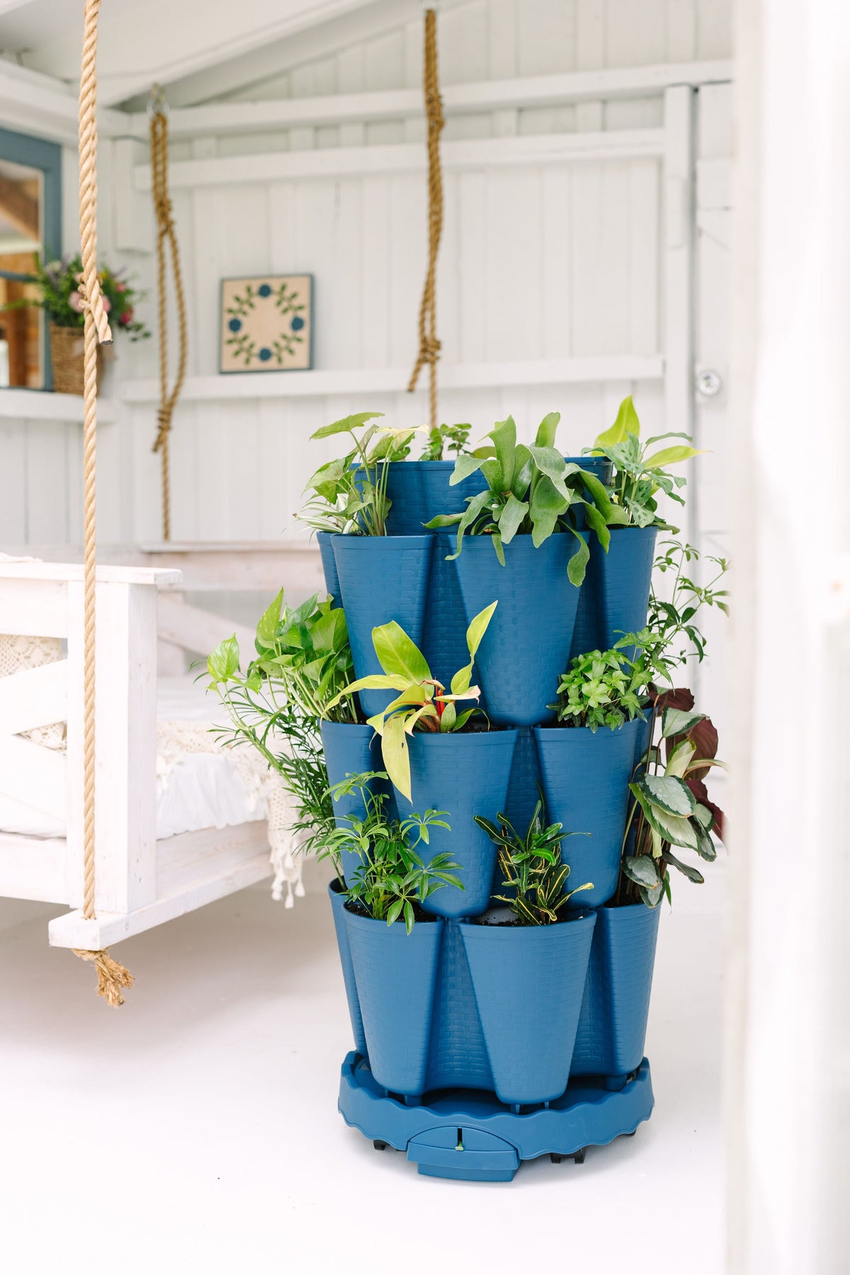 indoor blueberry plant GreenStalk Ultimate Mover | Blueberry