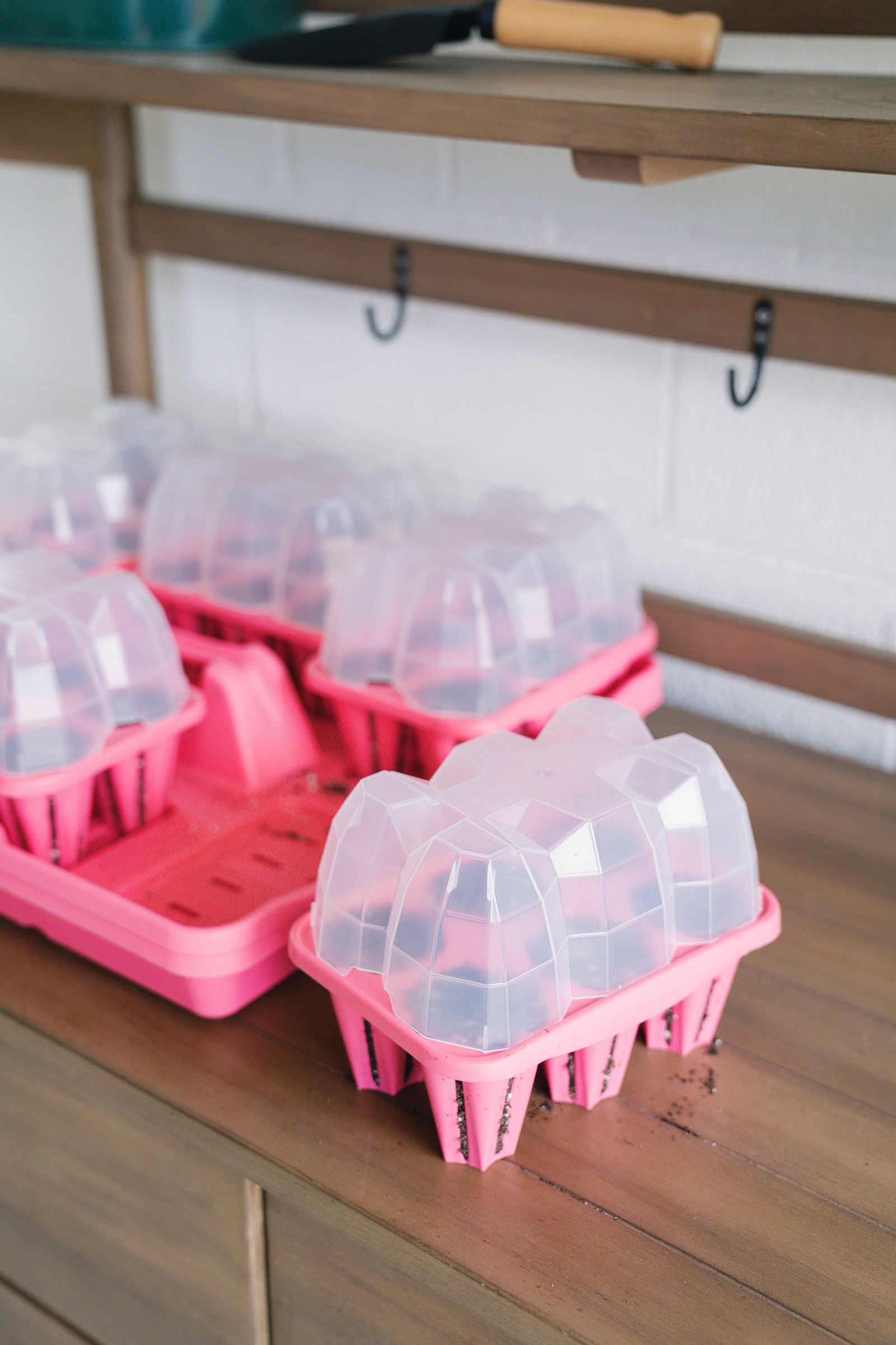 GreenStalk Seed Starter Kit with Domes | Strawberry Pink 