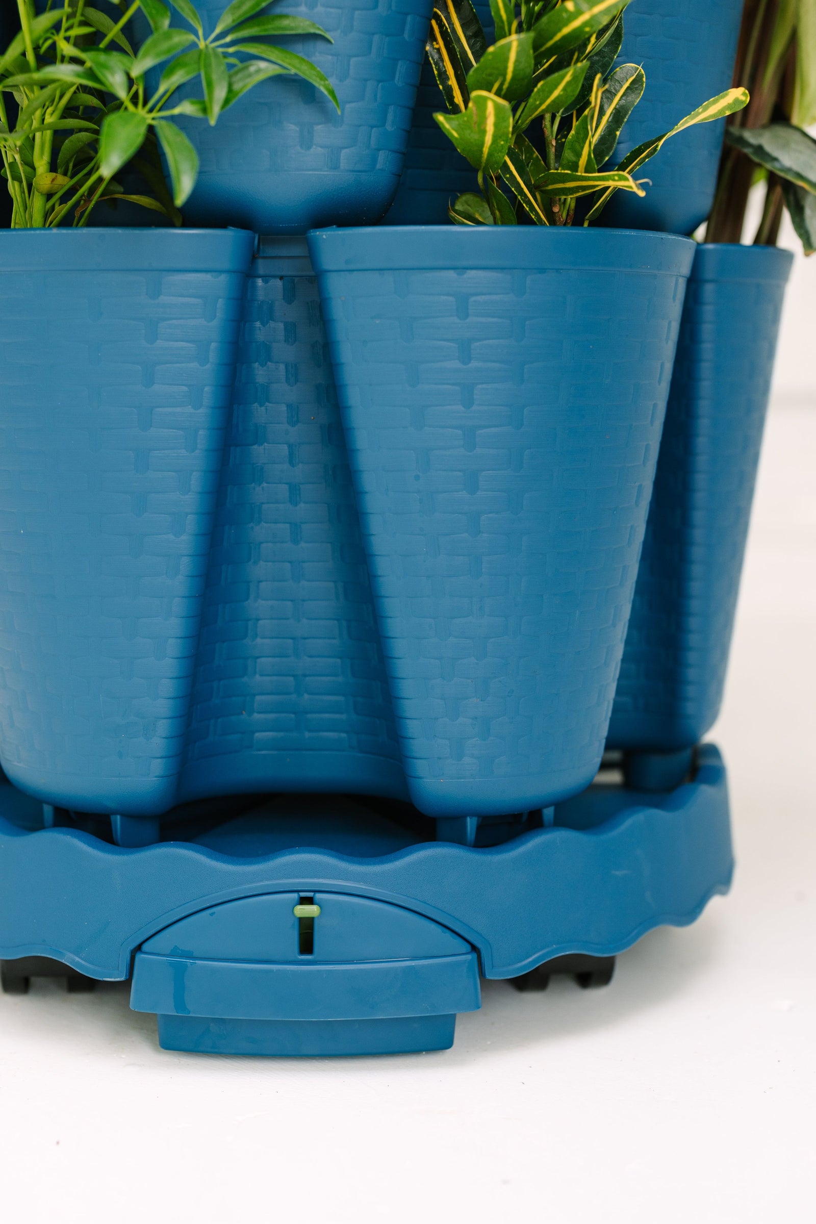 GreenStalk Ultimate Mover | Blueberry 