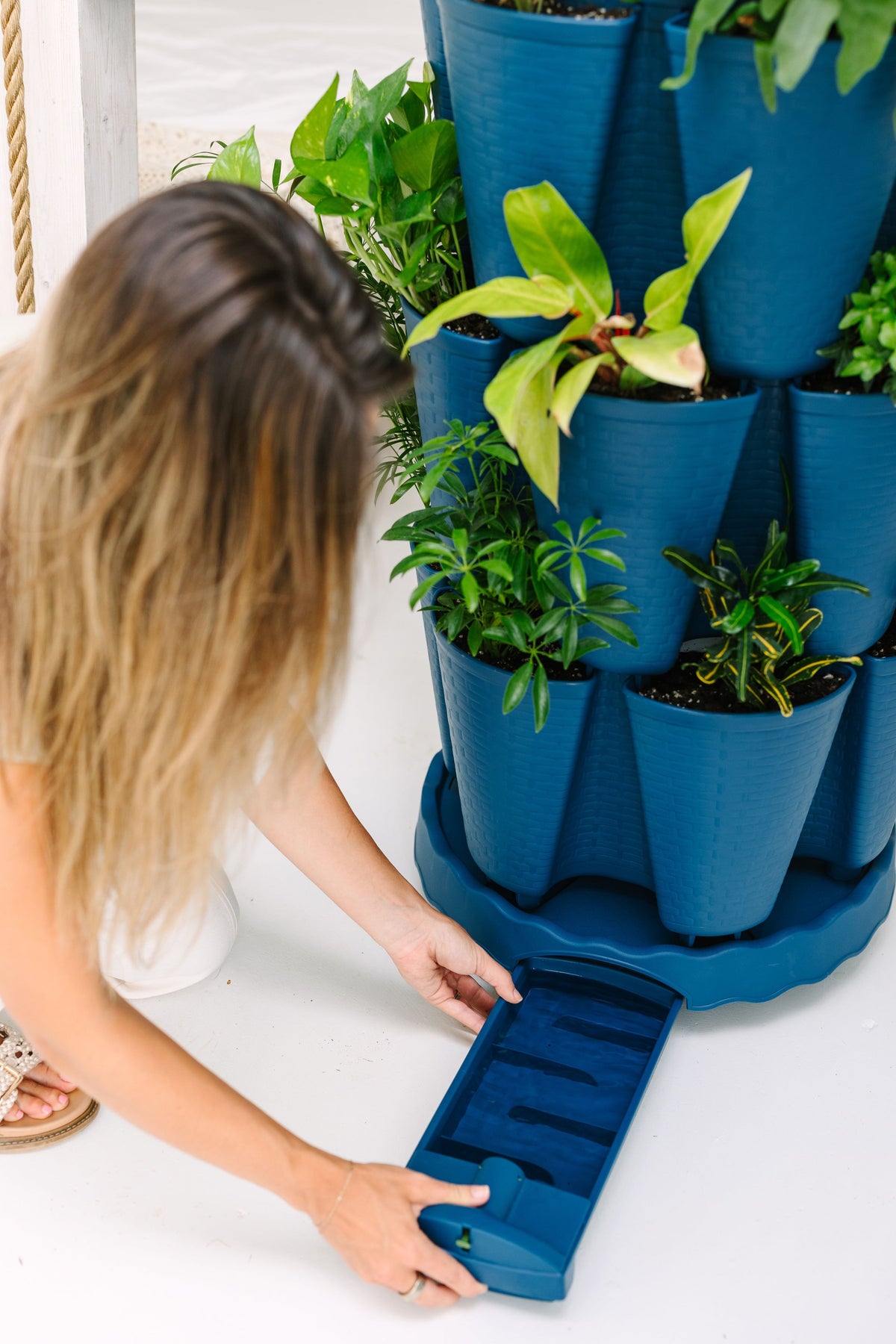 GreenStalk Ultimate Mover | Blueberry 