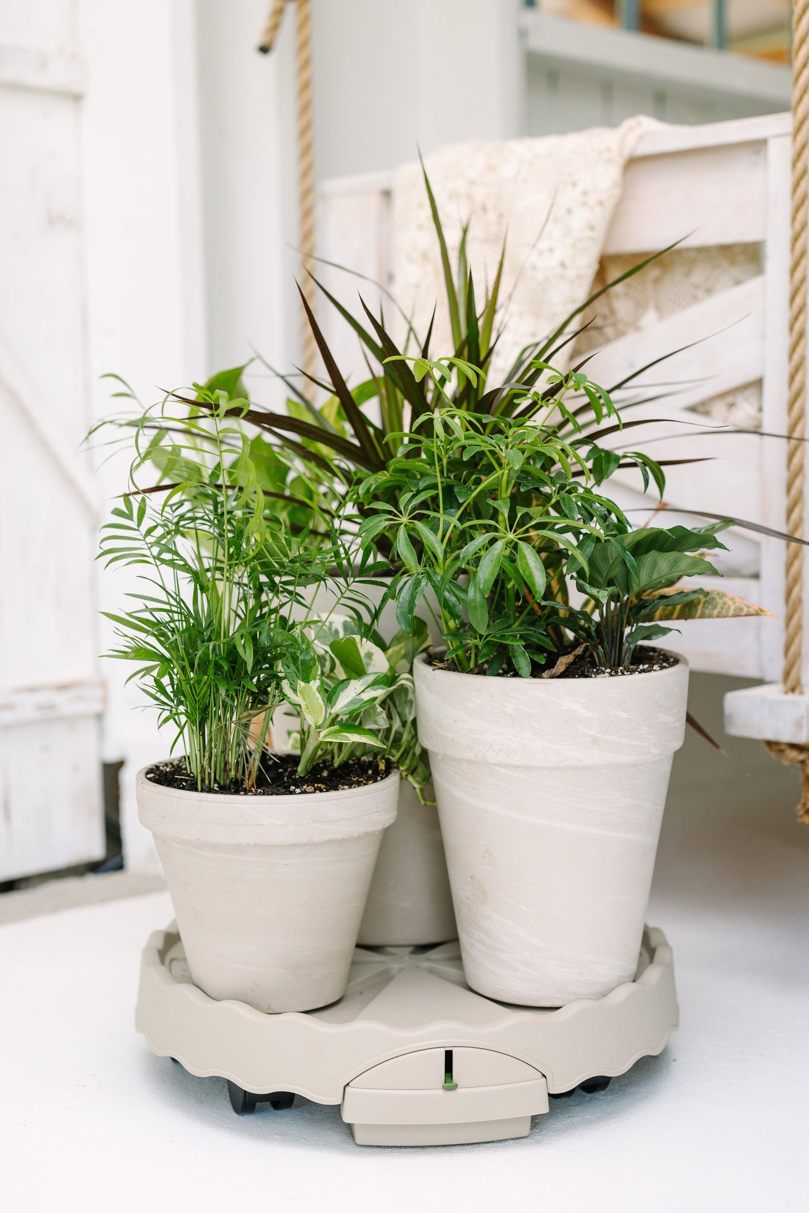 GreenStalk Ultimate Mover | Stunning Stone 