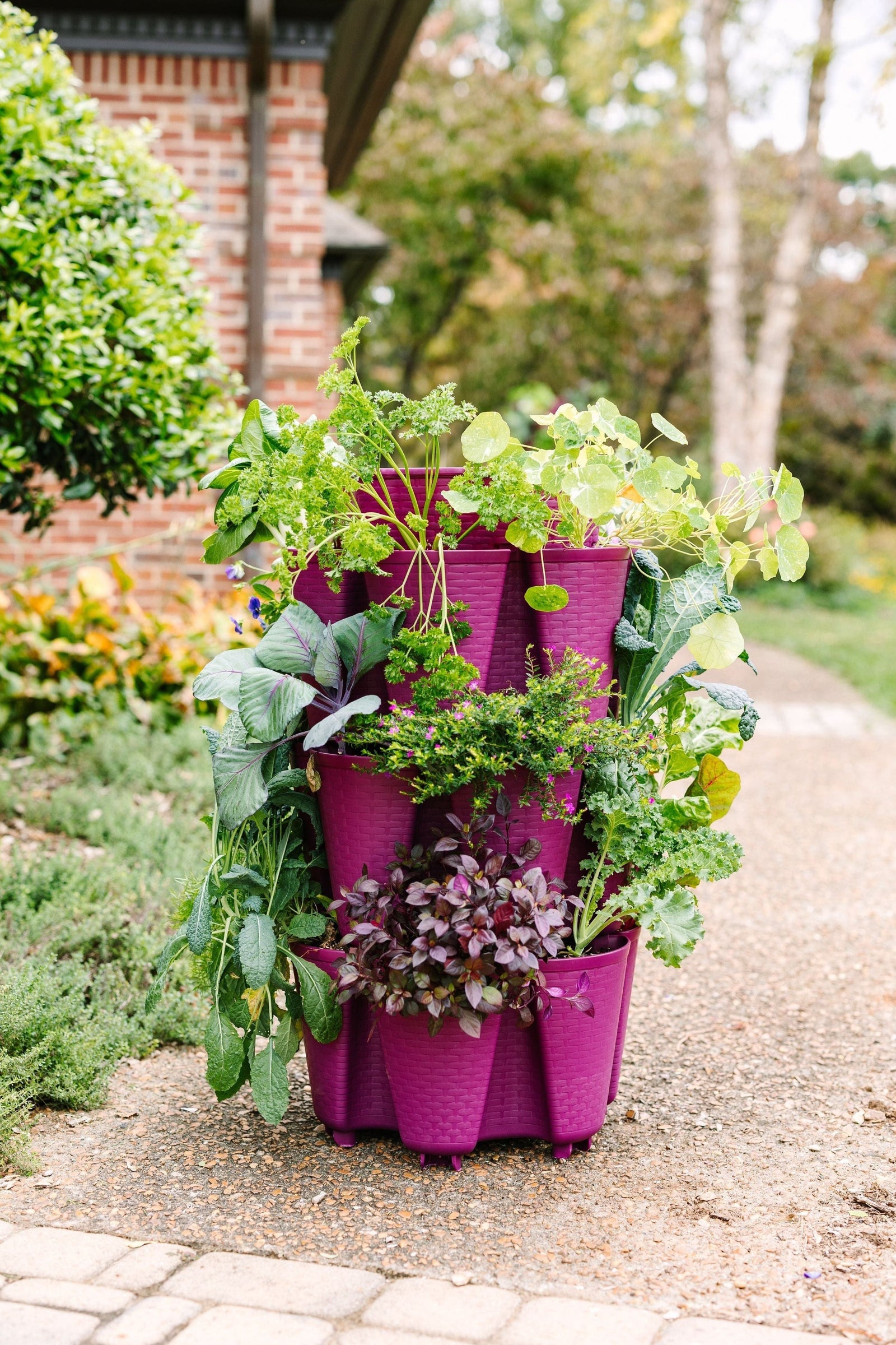 3 Tier GreenStalk Original Vertical Planter | Razzleberry (Basket Weave Texture) 