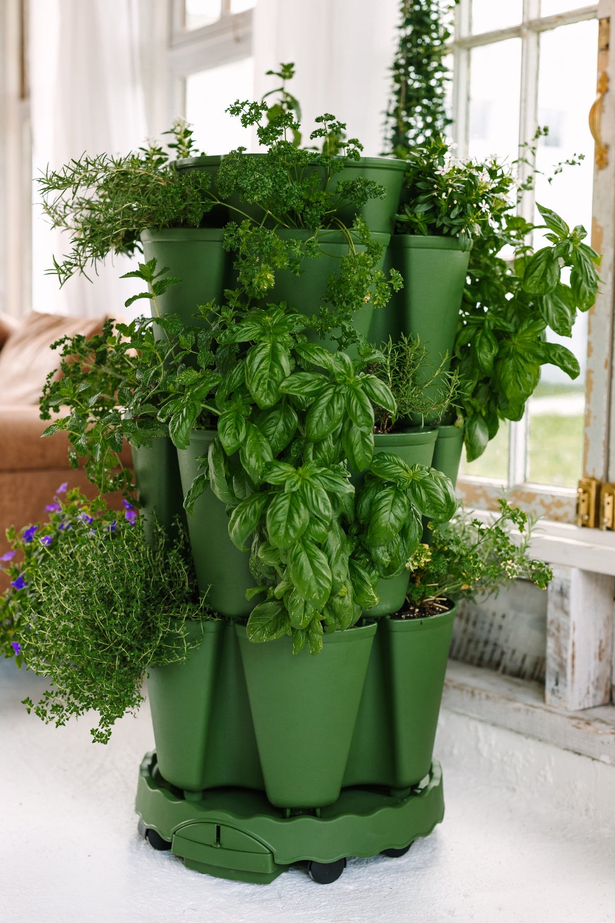 GreenStalk Ultimate Mover | Evergreen 