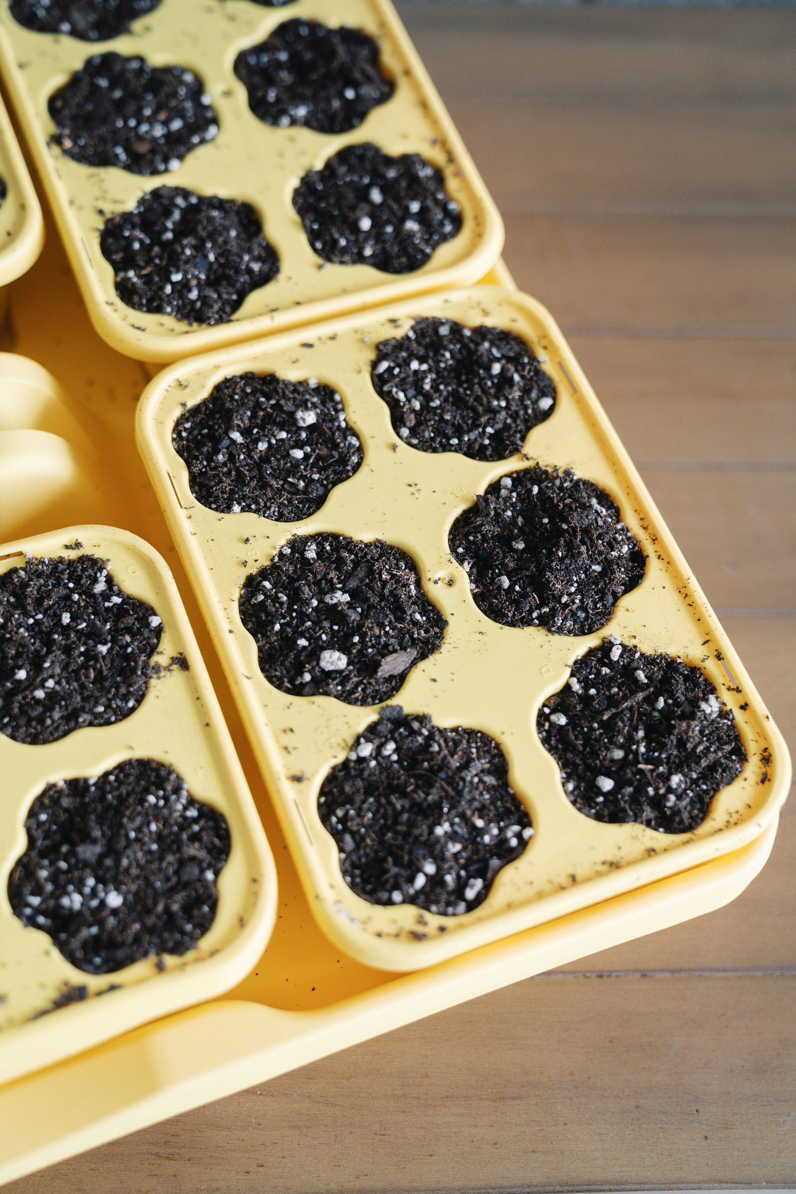 GreenStalk Seed Starter Kit with Domes | Lemon 