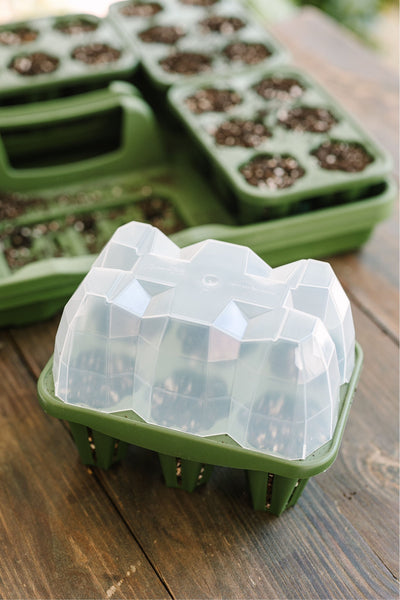 dome keeper plant seed Seed Starter Dome - Set of 6