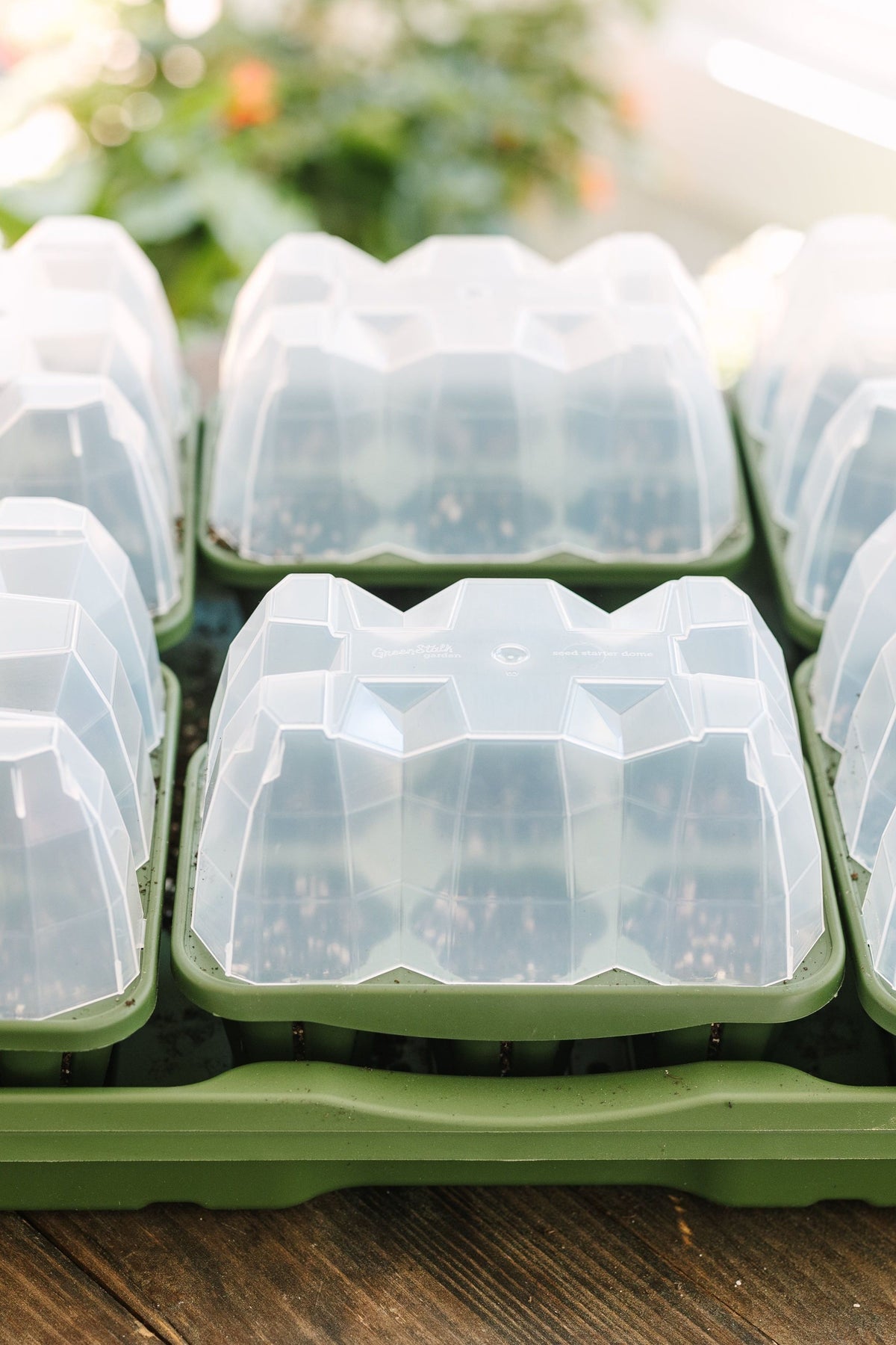GreenStalk Seed Starter Kit with Domes | Evergreen 