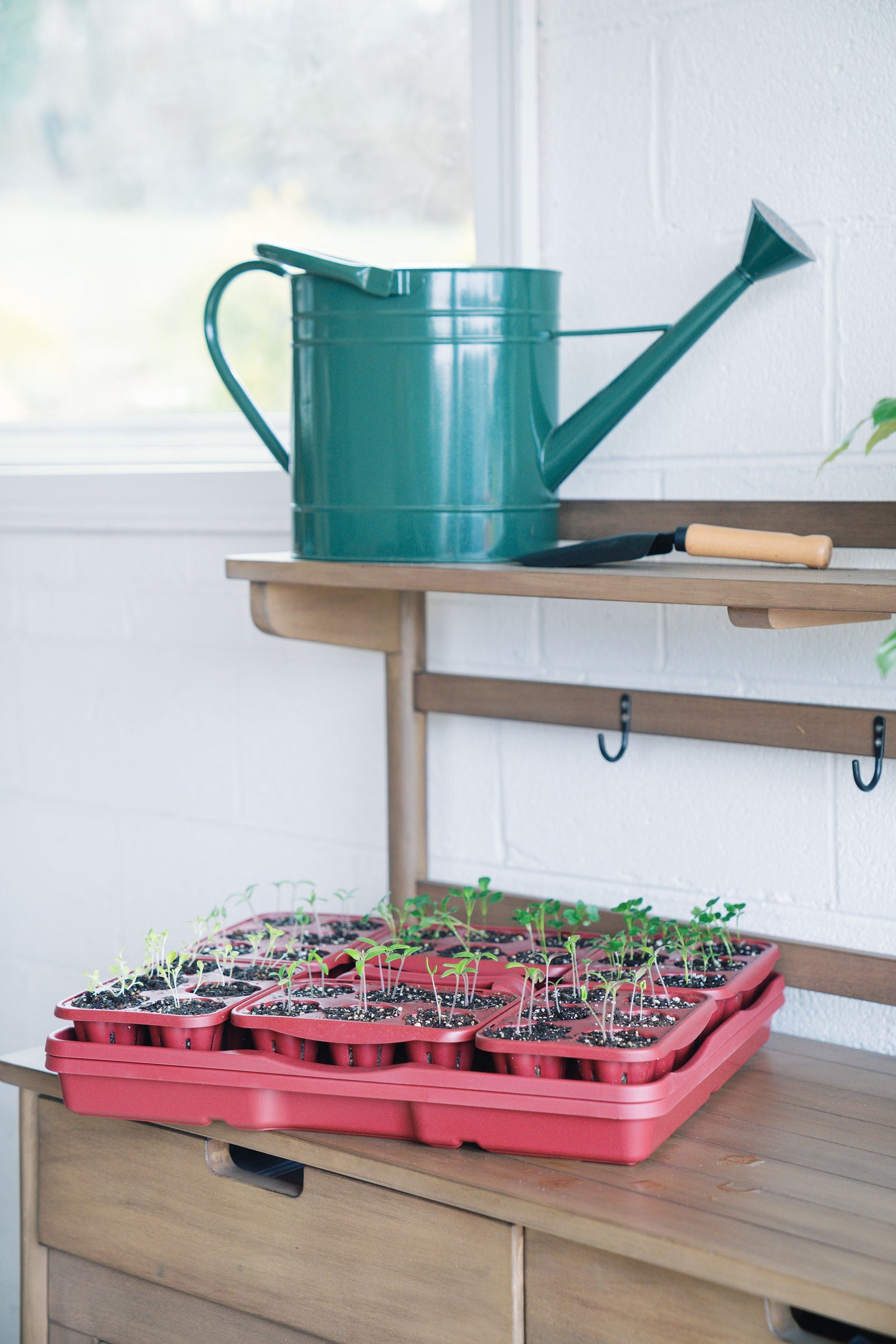 GreenStalk Seed Starter Kit with Domes | Rusted Garden Red 