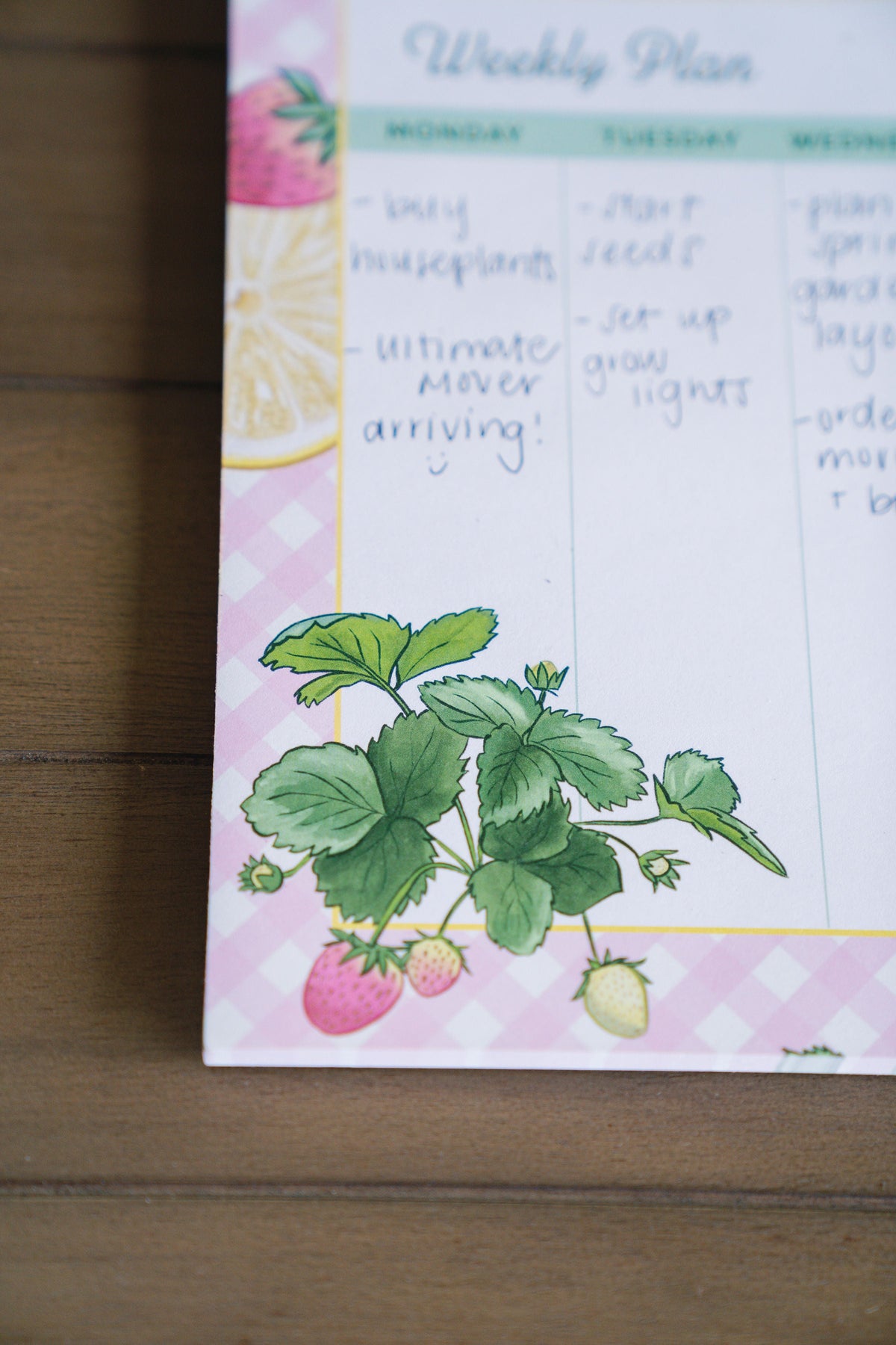 Strawberry & Lemon Tear-Off Weekly Planner 